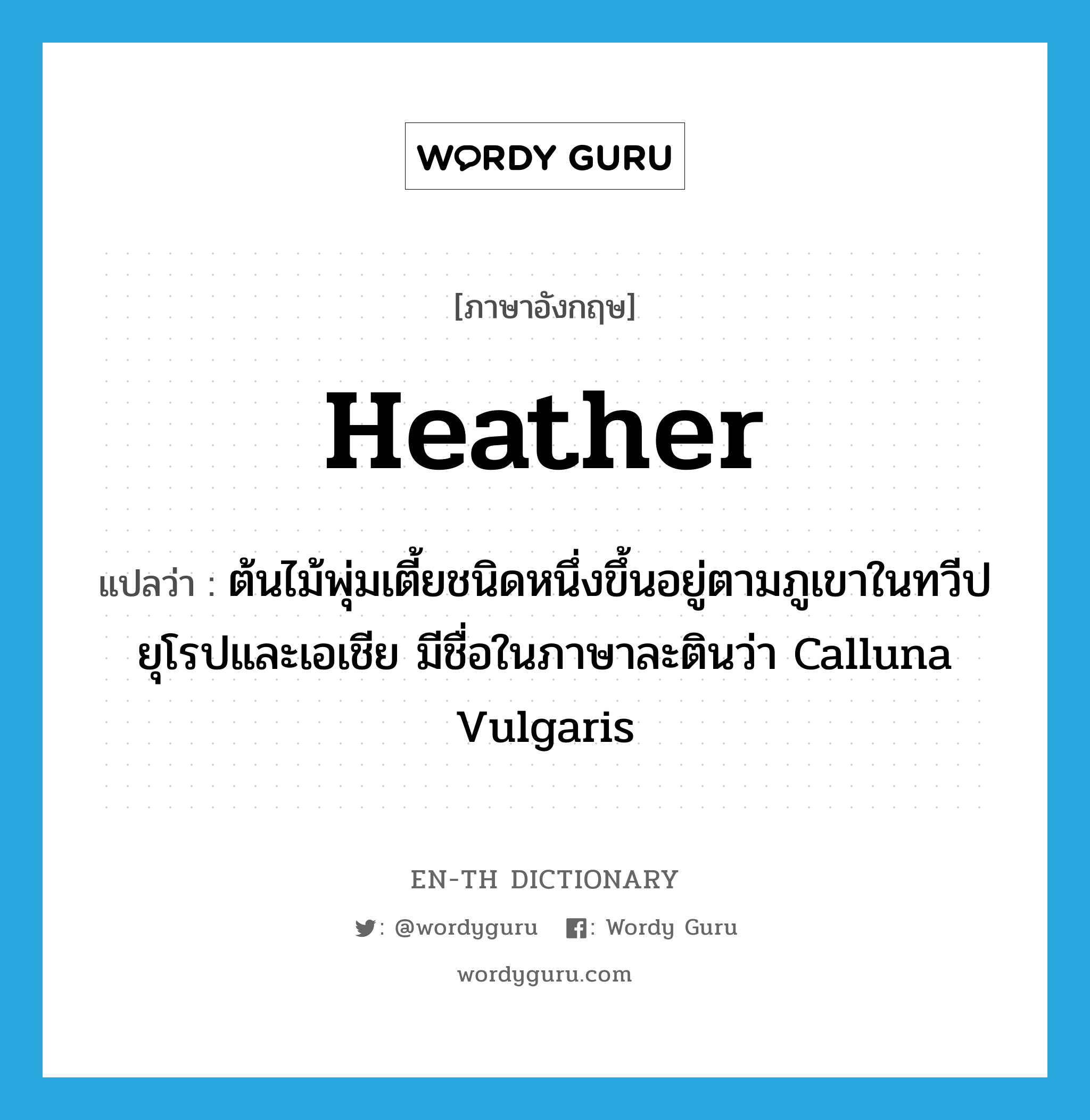 heather แปลว่า?, คำศัพท์ภาษาอังกฤษ heather แปลว่า ต้นไม้พุ่มเตี้ยชนิดหนึ่งขึ้นอยู่ตามภูเขาในทวีปยุโรปและเอเชีย มีชื่อในภาษาละตินว่า Calluna Vulgaris ประเภท N หมวด N