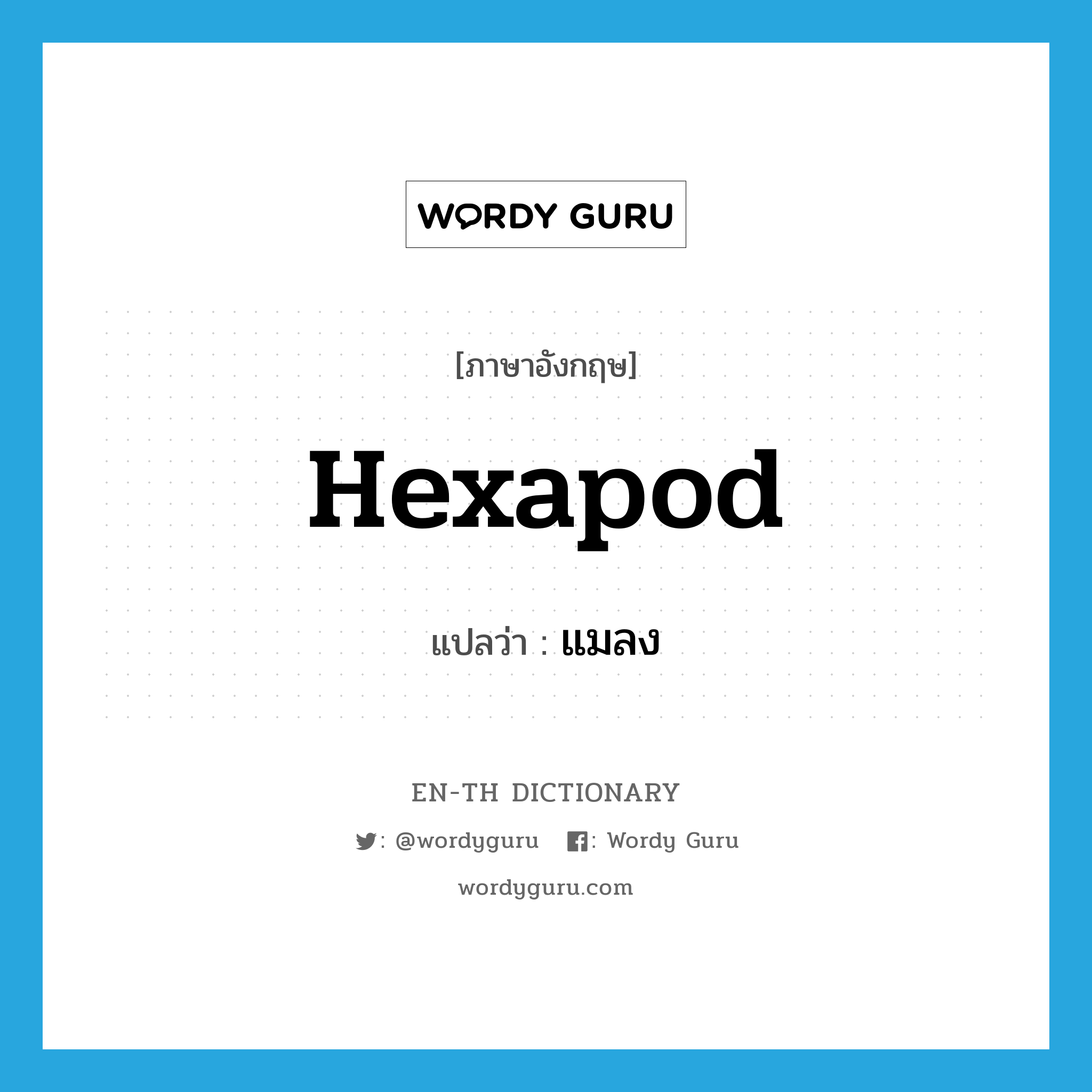 hexapod แปลว่า?, คำศัพท์ภาษาอังกฤษ hexapod แปลว่า แมลง ประเภท N หมวด N