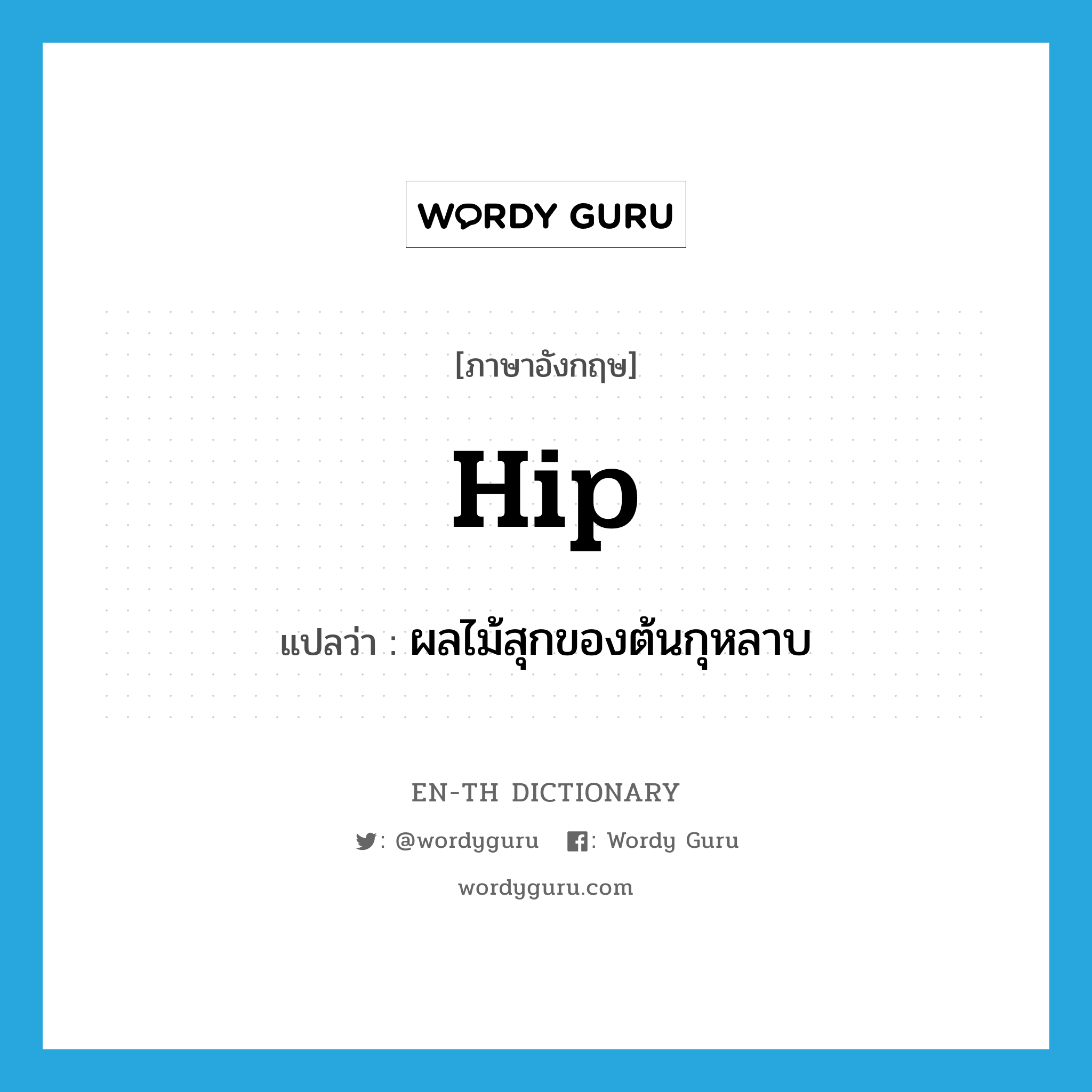 hip แปลว่า?, คำศัพท์ภาษาอังกฤษ hip แปลว่า ผลไม้สุกของต้นกุหลาบ ประเภท N หมวด N