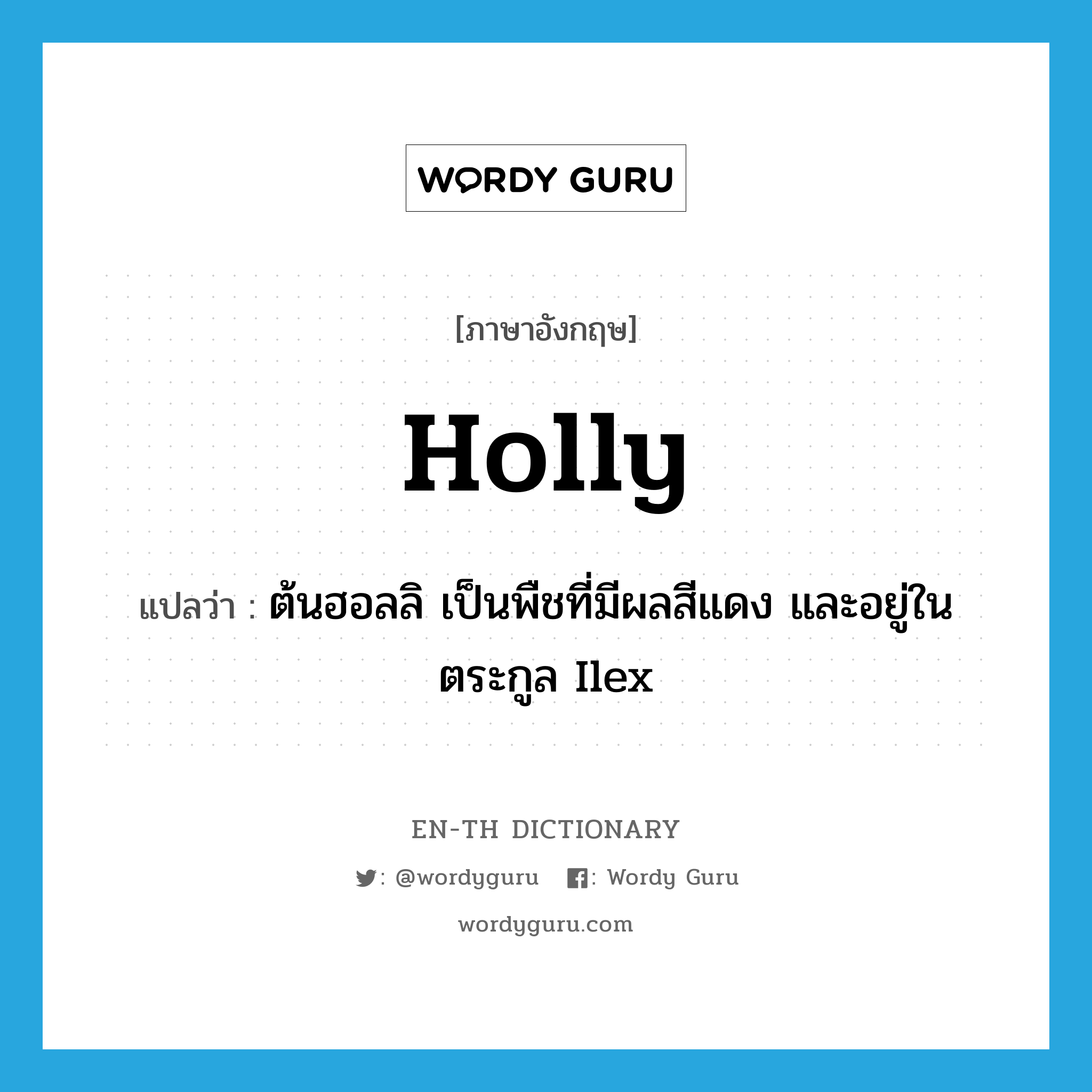 holly แปลว่า?, คำศัพท์ภาษาอังกฤษ holly แปลว่า ต้นฮอลลิ เป็นพืชที่มีผลสีแดง และอยู่ในตระกูล Ilex ประเภท N หมวด N