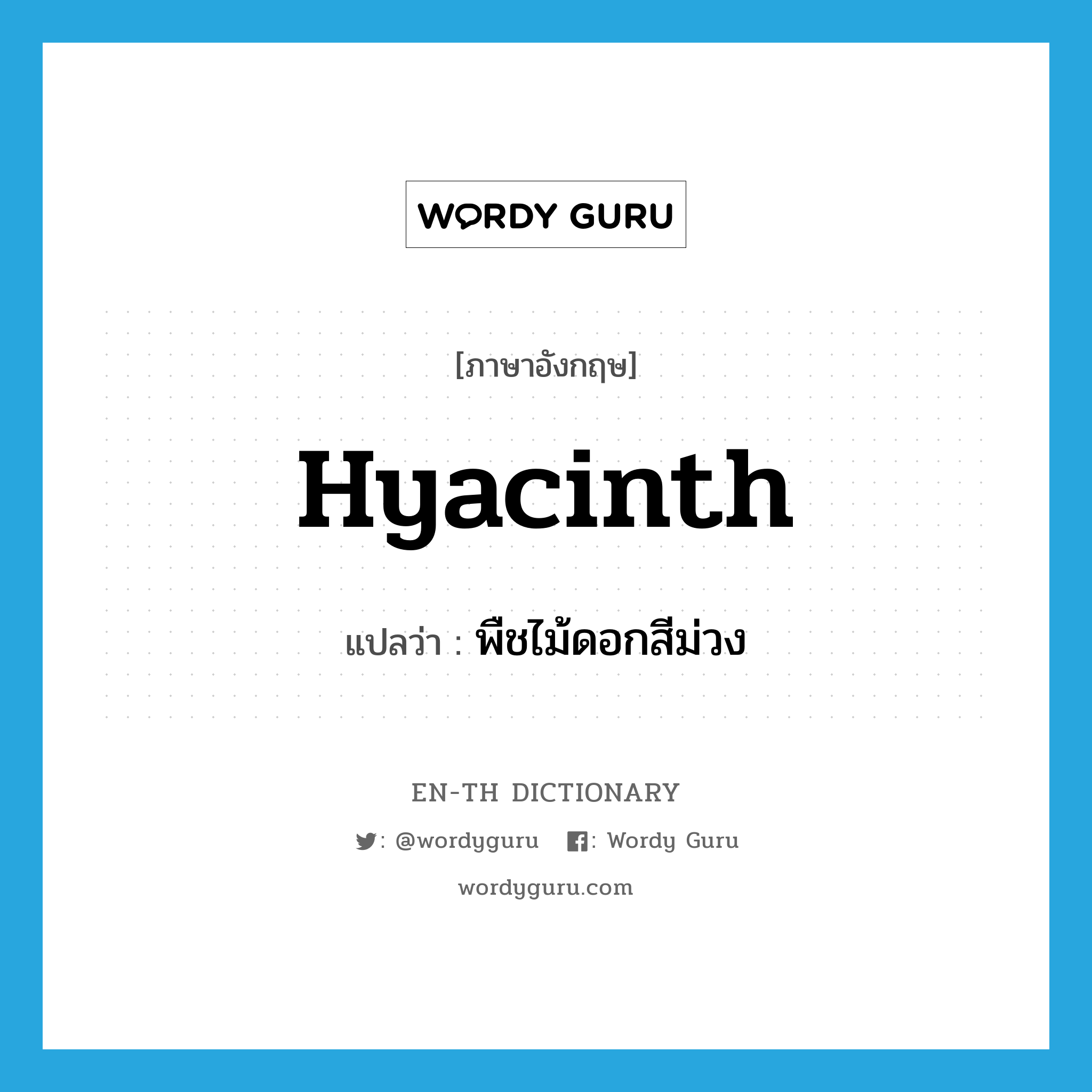 hyacinth แปลว่า?, คำศัพท์ภาษาอังกฤษ hyacinth แปลว่า พืชไม้ดอกสีม่วง ประเภท N หมวด N