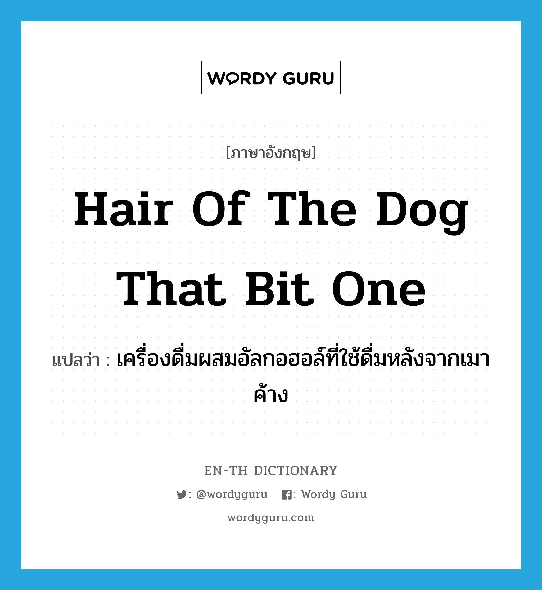 hair of the dog that bit one แปลว่า?, คำศัพท์ภาษาอังกฤษ hair of the dog that bit one แปลว่า เครื่องดื่มผสมอัลกอฮอล์ที่ใช้ดื่มหลังจากเมาค้าง ประเภท IDM หมวด IDM