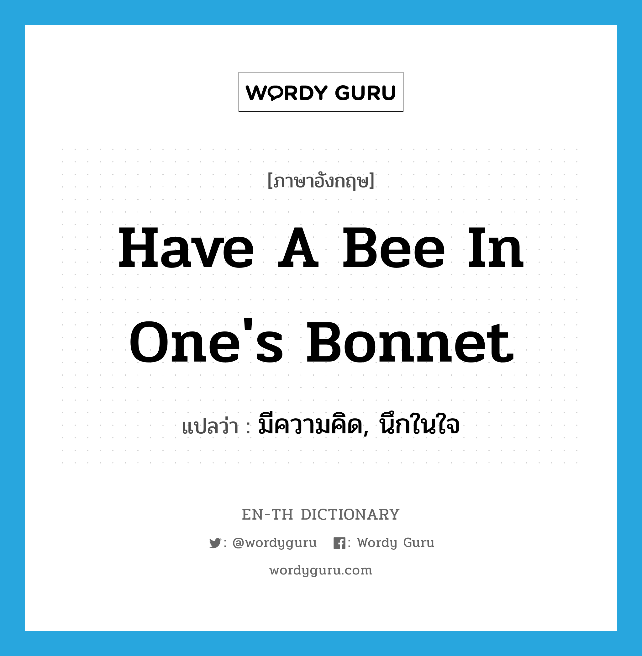 have a bee in one&#39;s bonnet แปลว่า?, คำศัพท์ภาษาอังกฤษ have a bee in one&#39;s bonnet แปลว่า มีความคิด, นึกในใจ ประเภท IDM หมวด IDM