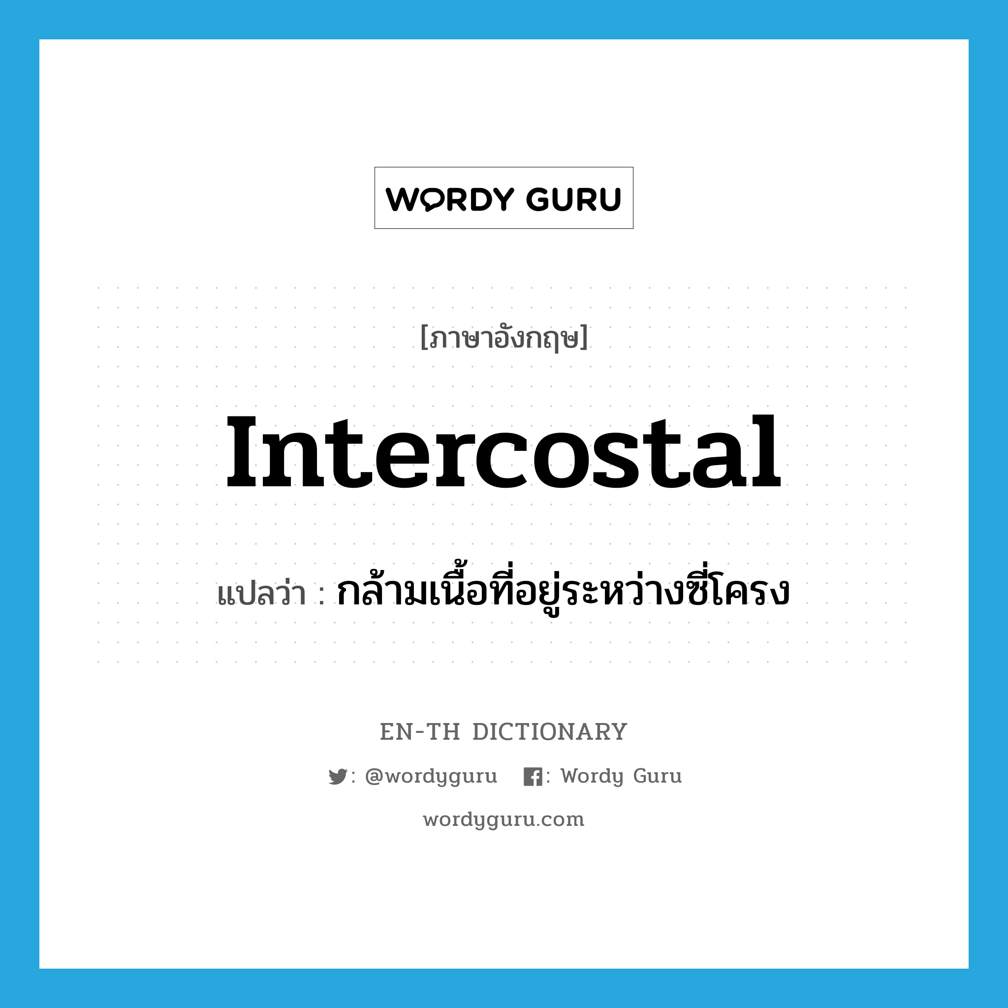 intercostal แปลว่า?, คำศัพท์ภาษาอังกฤษ intercostal แปลว่า กล้ามเนื้อที่อยู่ระหว่างซี่โครง ประเภท N หมวด N