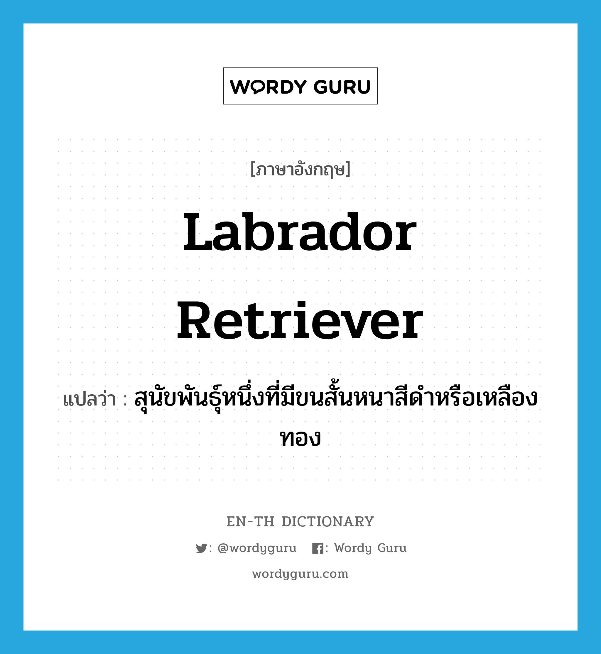 Labrador retriever แปลว่า?, คำศัพท์ภาษาอังกฤษ Labrador retriever แปลว่า สุนัขพันธุ์หนึ่งที่มีขนสั้นหนาสีดำหรือเหลืองทอง ประเภท N หมวด N