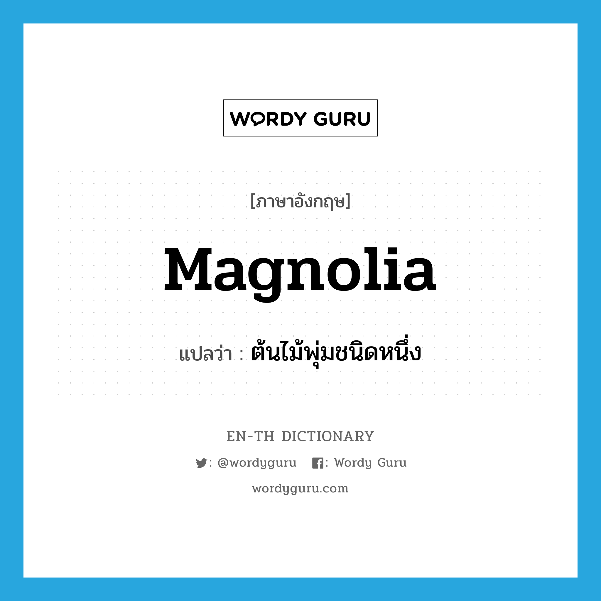 magnolia แปลว่า?, คำศัพท์ภาษาอังกฤษ magnolia แปลว่า ต้นไม้พุ่มชนิดหนึ่ง ประเภท N หมวด N