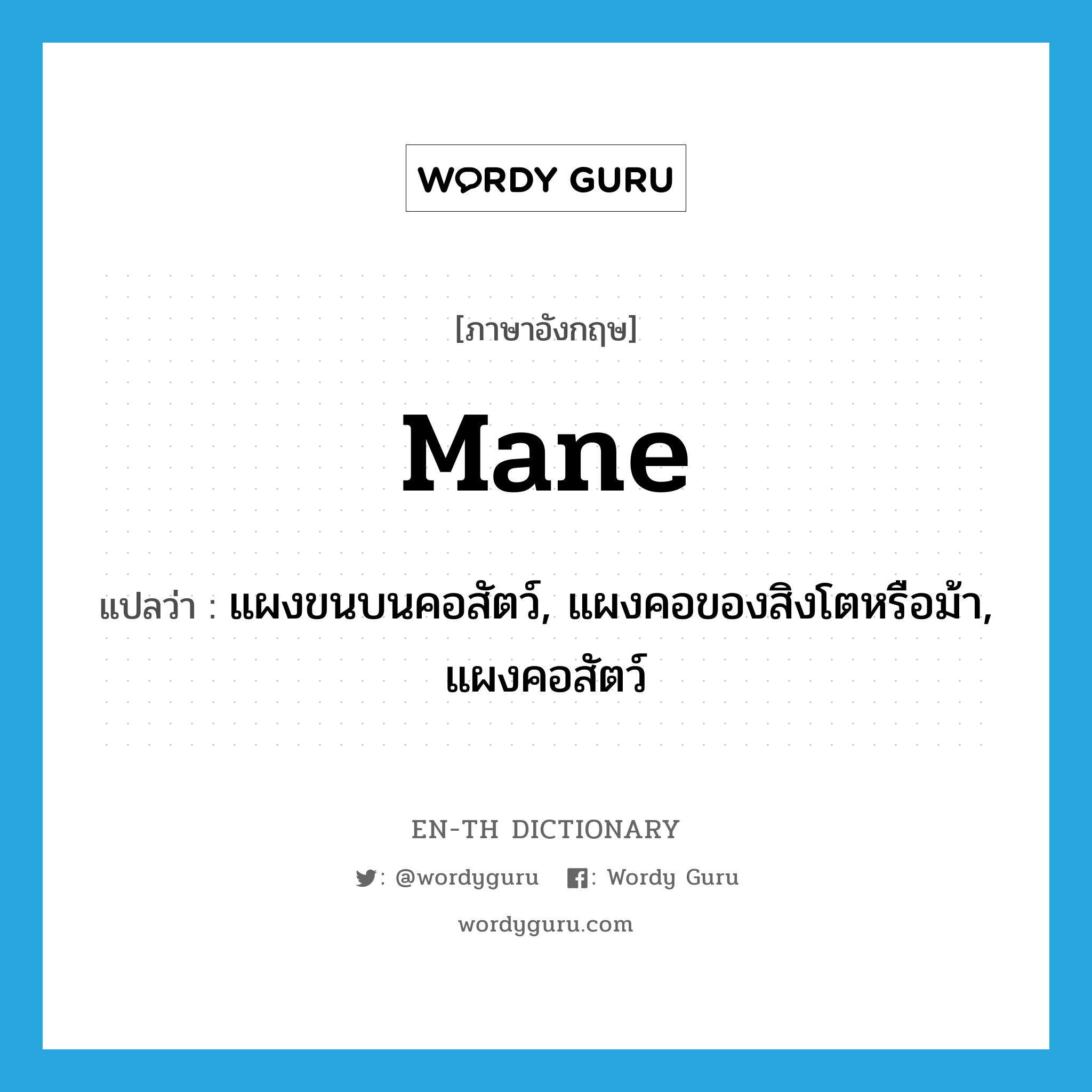 mane แปลว่า?, คำศัพท์ภาษาอังกฤษ mane แปลว่า แผงขนบนคอสัตว์, แผงคอของสิงโตหรือม้า, แผงคอสัตว์ ประเภท N หมวด N