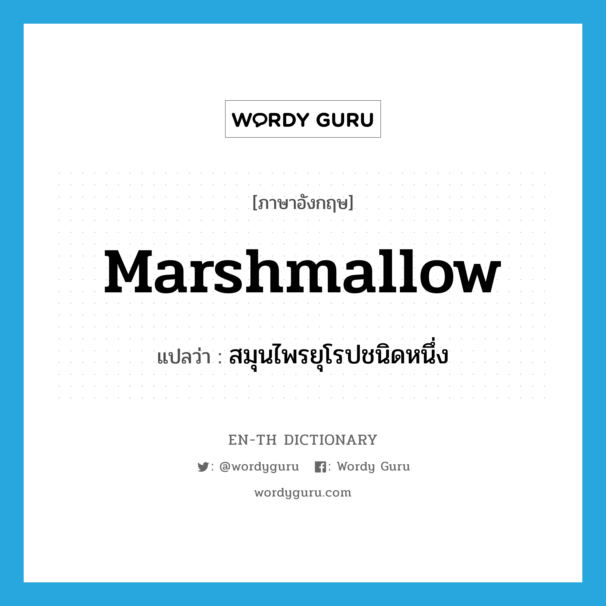 marshmallow แปลว่า?, คำศัพท์ภาษาอังกฤษ marshmallow แปลว่า สมุนไพรยุโรปชนิดหนึ่ง ประเภท N หมวด N