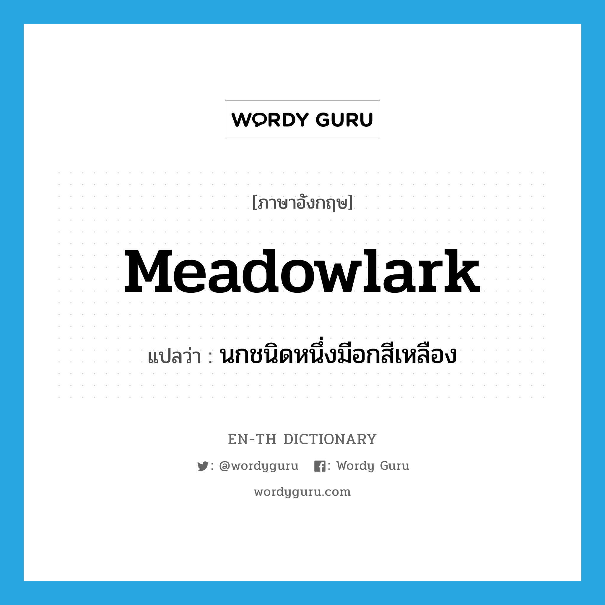 meadowlark แปลว่า?, คำศัพท์ภาษาอังกฤษ meadowlark แปลว่า นกชนิดหนึ่งมีอกสีเหลือง ประเภท N หมวด N