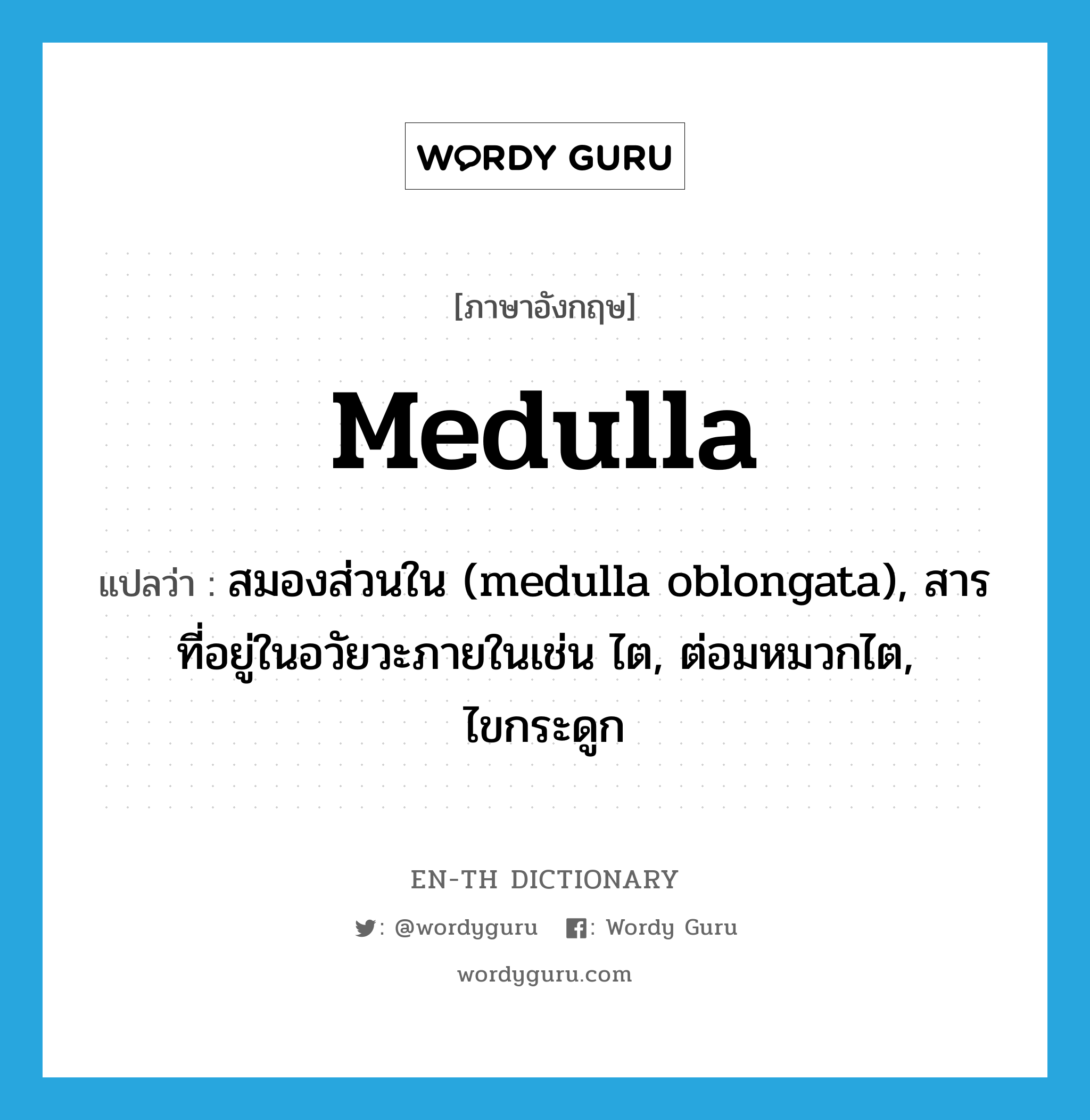 medulla แปลว่า?, คำศัพท์ภาษาอังกฤษ medulla แปลว่า สมองส่วนใน (medulla oblongata), สารที่อยู่ในอวัยวะภายในเช่น ไต, ต่อมหมวกไต, ไขกระดูก ประเภท N หมวด N