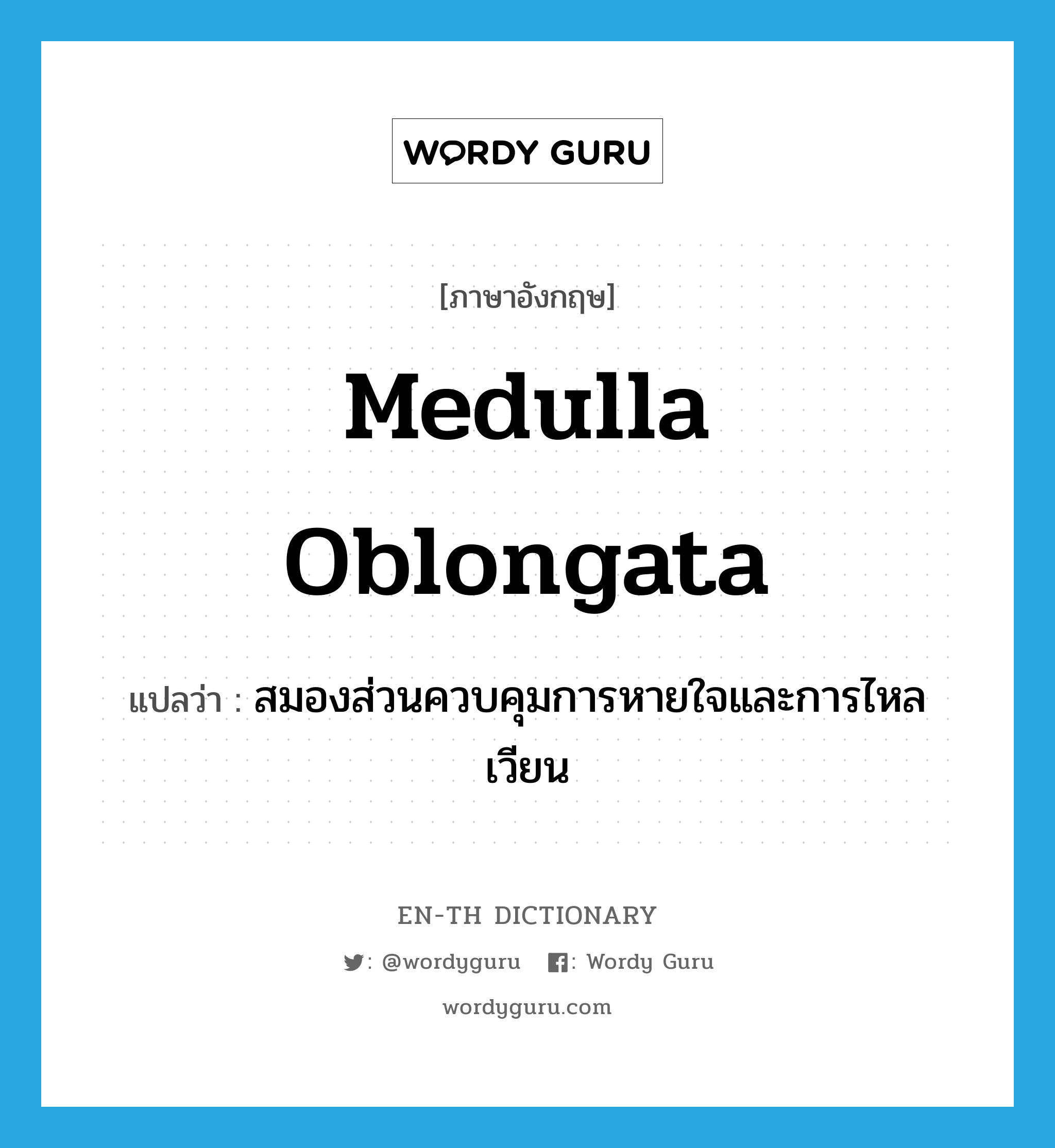 medulla oblongata แปลว่า?, คำศัพท์ภาษาอังกฤษ medulla oblongata แปลว่า สมองส่วนควบคุมการหายใจและการไหลเวียน ประเภท N หมวด N