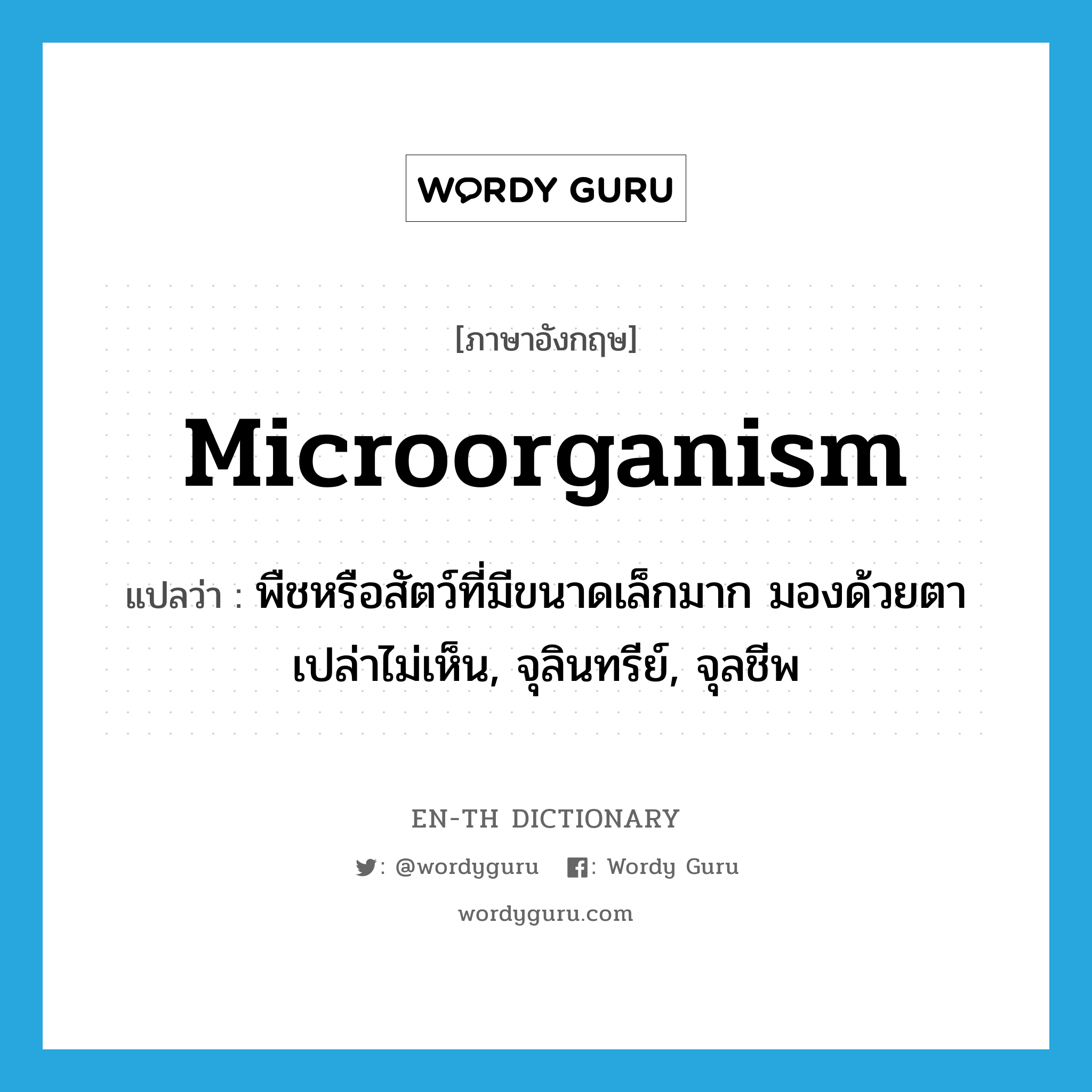 microorganism แปลว่า?, คำศัพท์ภาษาอังกฤษ microorganism แปลว่า พืชหรือสัตว์ที่มีขนาดเล็กมาก มองด้วยตาเปล่าไม่เห็น, จุลินทรีย์, จุลชีพ ประเภท N หมวด N