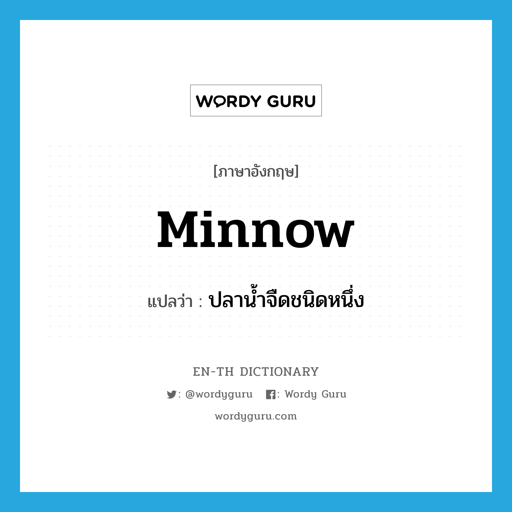 minnow แปลว่า?, คำศัพท์ภาษาอังกฤษ minnow แปลว่า ปลาน้ำจืดชนิดหนึ่ง ประเภท N หมวด N