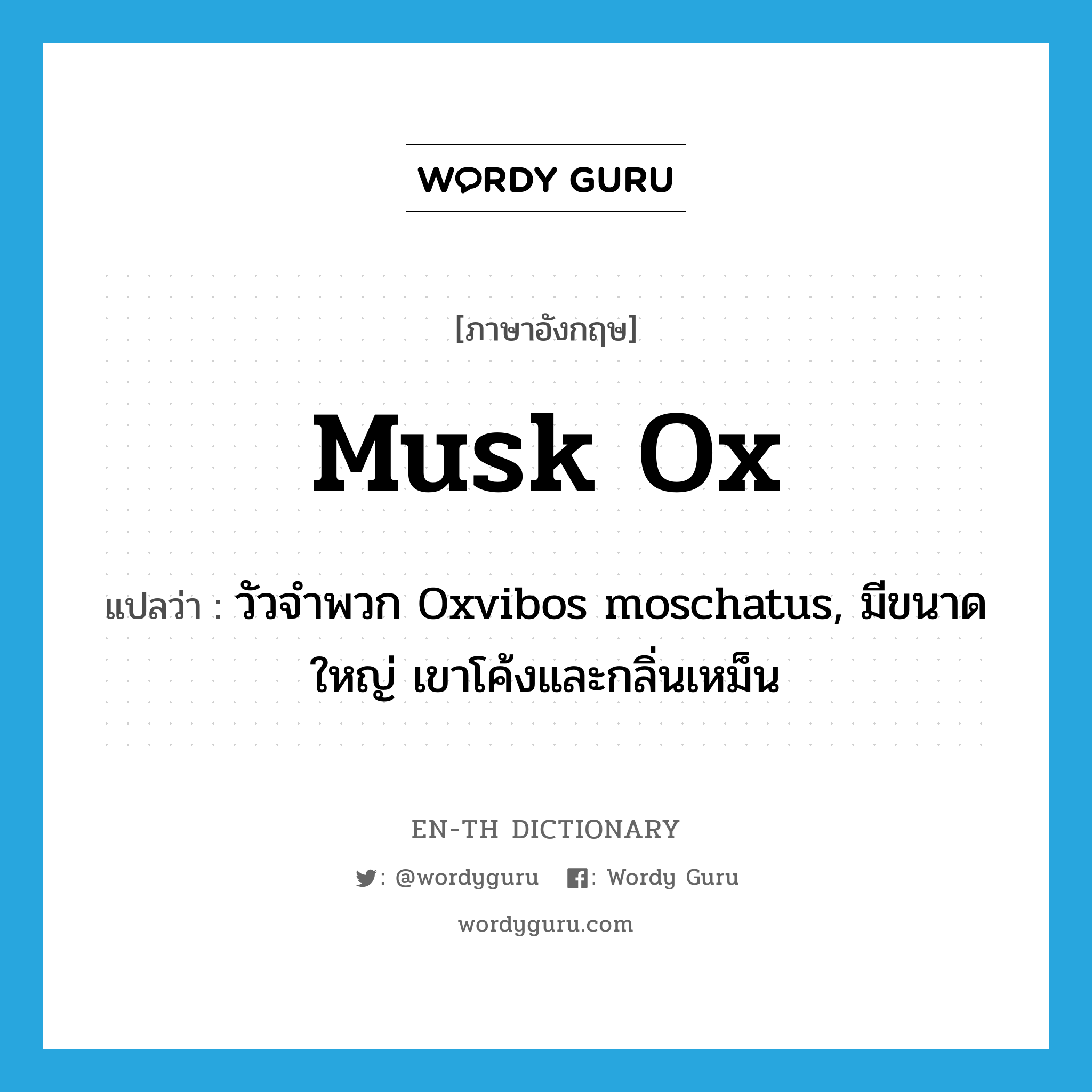 musk ox แปลว่า?, คำศัพท์ภาษาอังกฤษ musk ox แปลว่า วัวจำพวก Oxvibos moschatus, มีขนาดใหญ่ เขาโค้งและกลิ่นเหม็น ประเภท N หมวด N