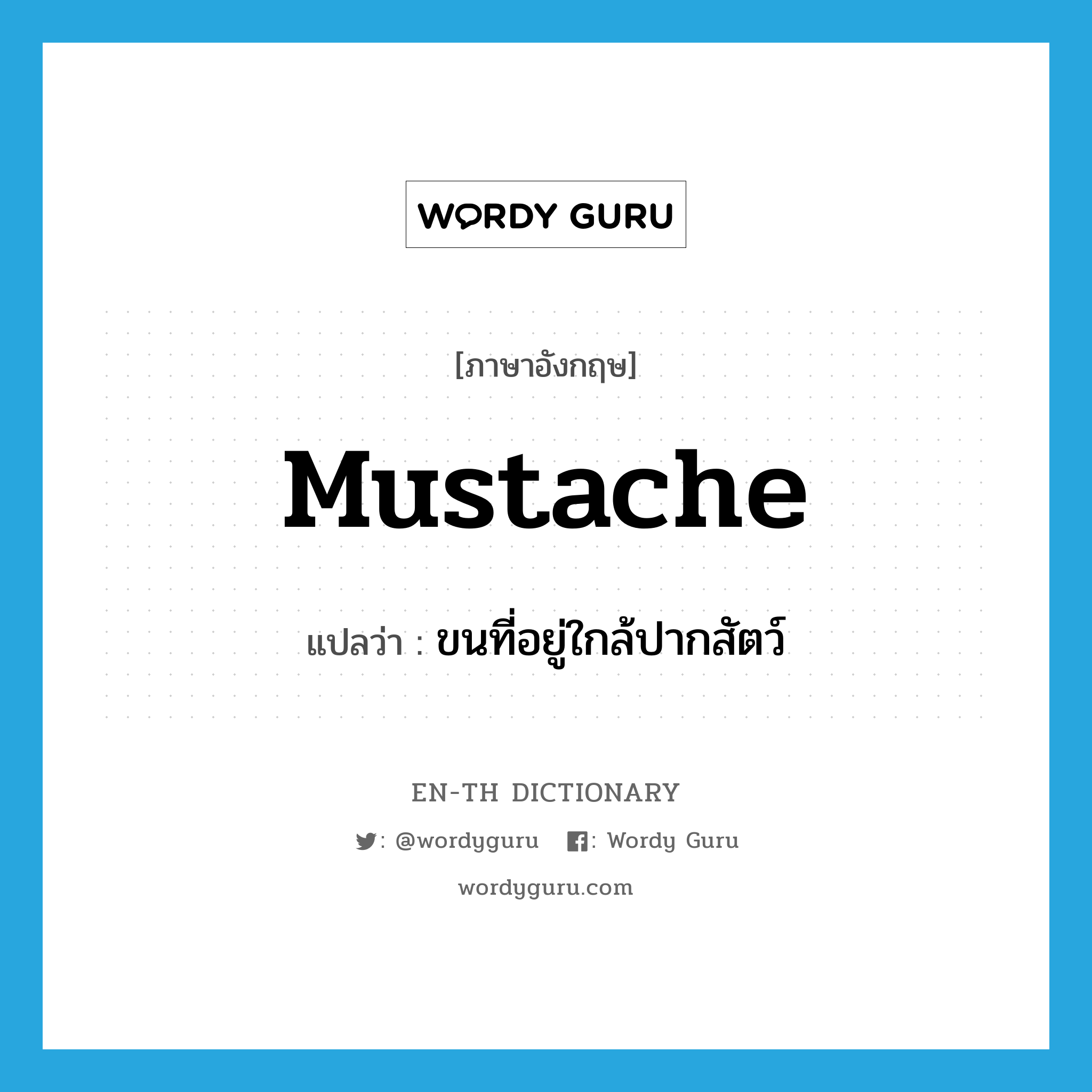 mustache แปลว่า?, คำศัพท์ภาษาอังกฤษ mustache แปลว่า ขนที่อยู่ใกล้ปากสัตว์ ประเภท N หมวด N