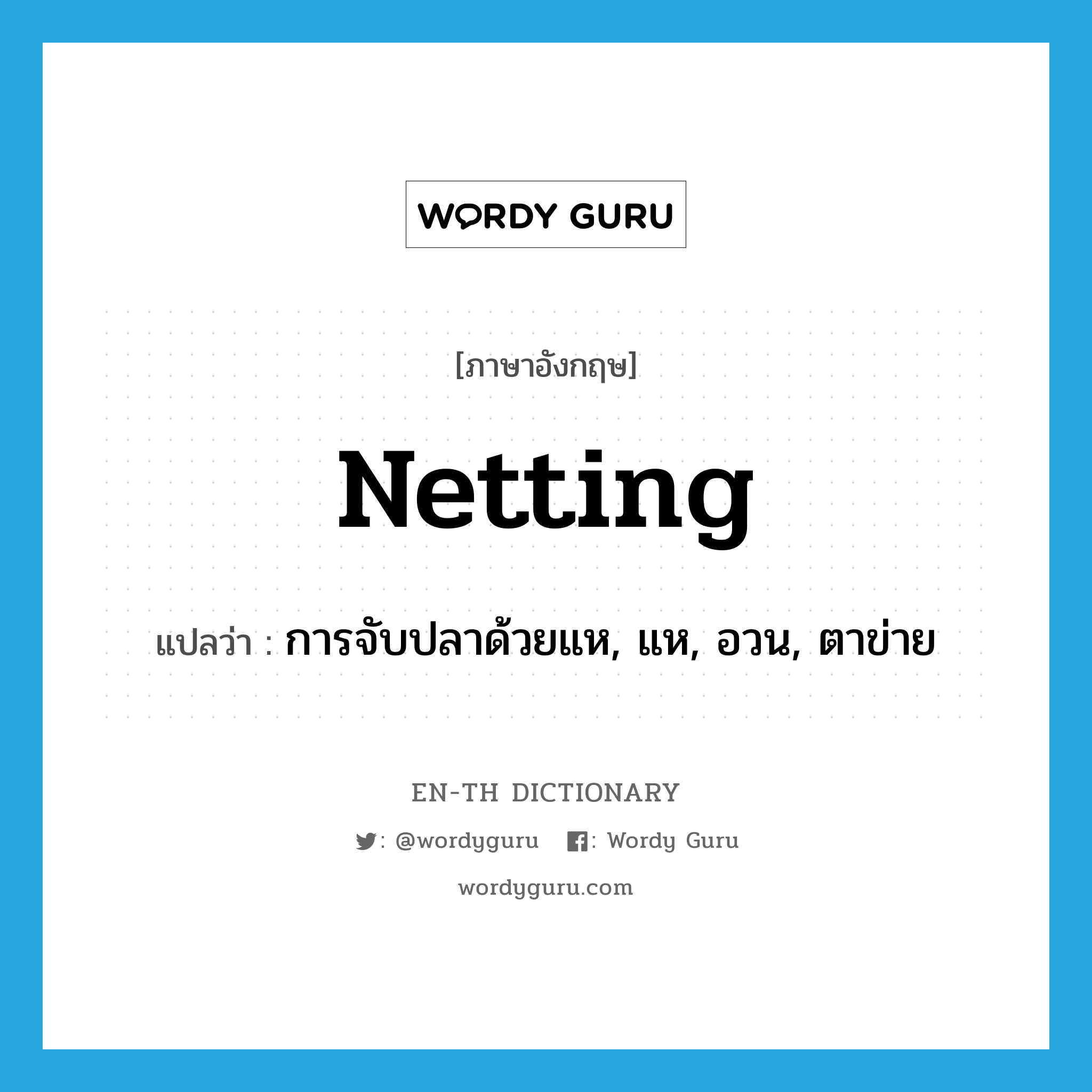 netting แปลว่า?, คำศัพท์ภาษาอังกฤษ netting แปลว่า การจับปลาด้วยแห, แห, อวน, ตาข่าย ประเภท N หมวด N