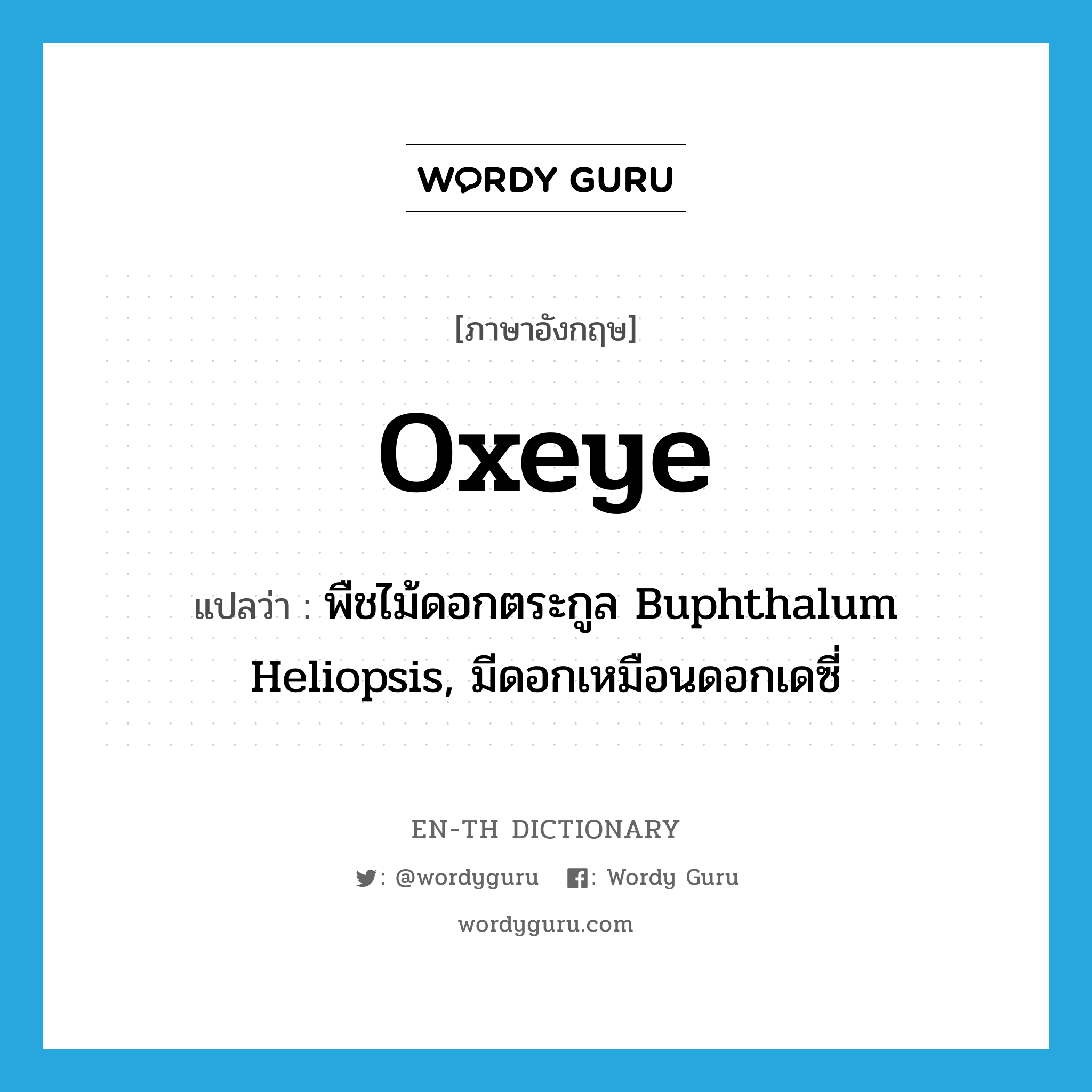 oxeye แปลว่า?, คำศัพท์ภาษาอังกฤษ oxeye แปลว่า พืชไม้ดอกตระกูล Buphthalum Heliopsis, มีดอกเหมือนดอกเดซี่ ประเภท N หมวด N