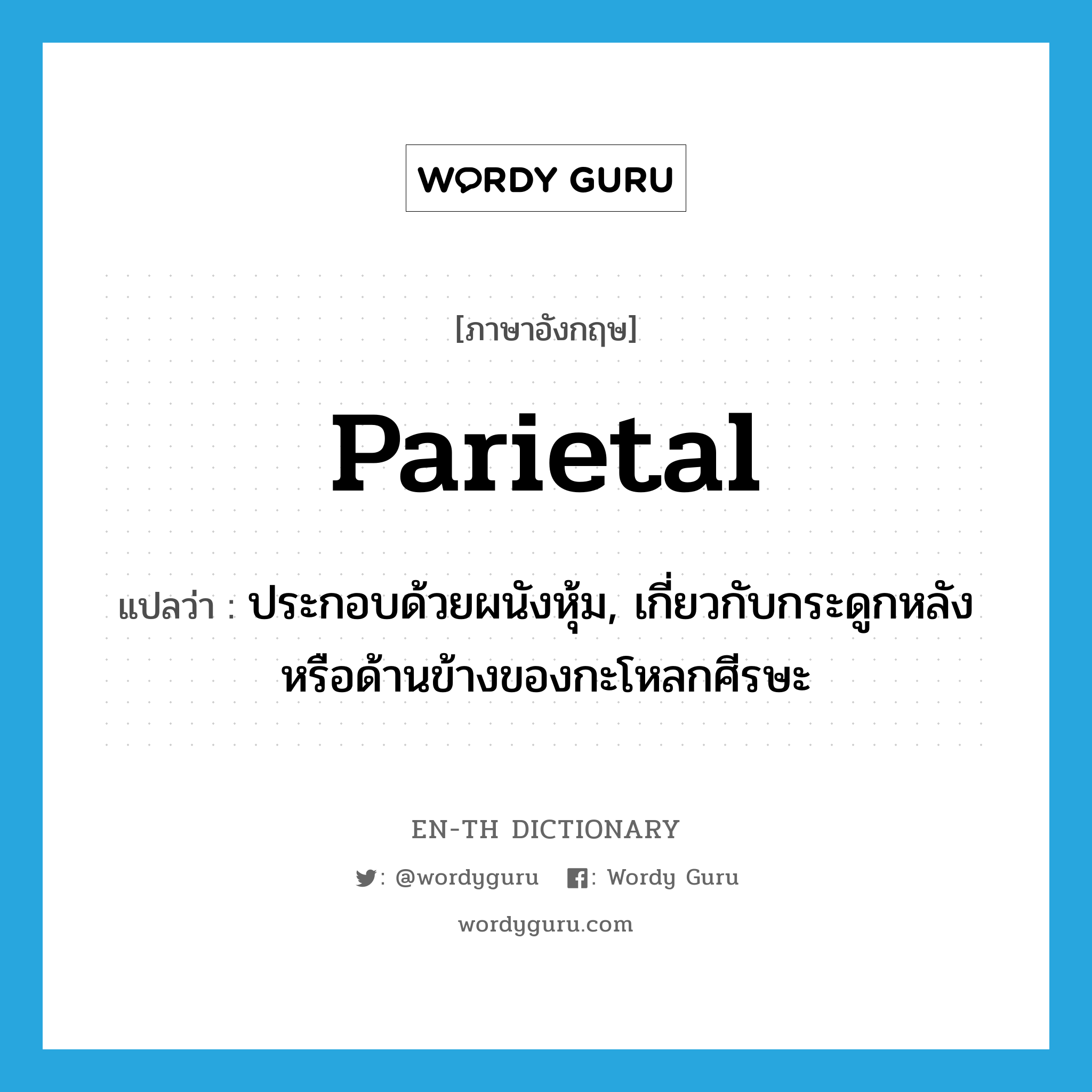 parietal แปลว่า?, คำศัพท์ภาษาอังกฤษ parietal แปลว่า ประกอบด้วยผนังหุ้ม, เกี่ยวกับกระดูกหลังหรือด้านข้างของกะโหลกศีรษะ ประเภท ADJ หมวด ADJ