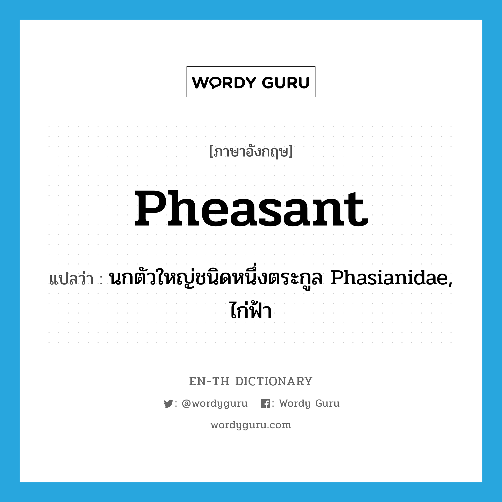 pheasant แปลว่า?, คำศัพท์ภาษาอังกฤษ pheasant แปลว่า นกตัวใหญ่ชนิดหนึ่งตระกูล Phasianidae, ไก่ฟ้า ประเภท N หมวด N