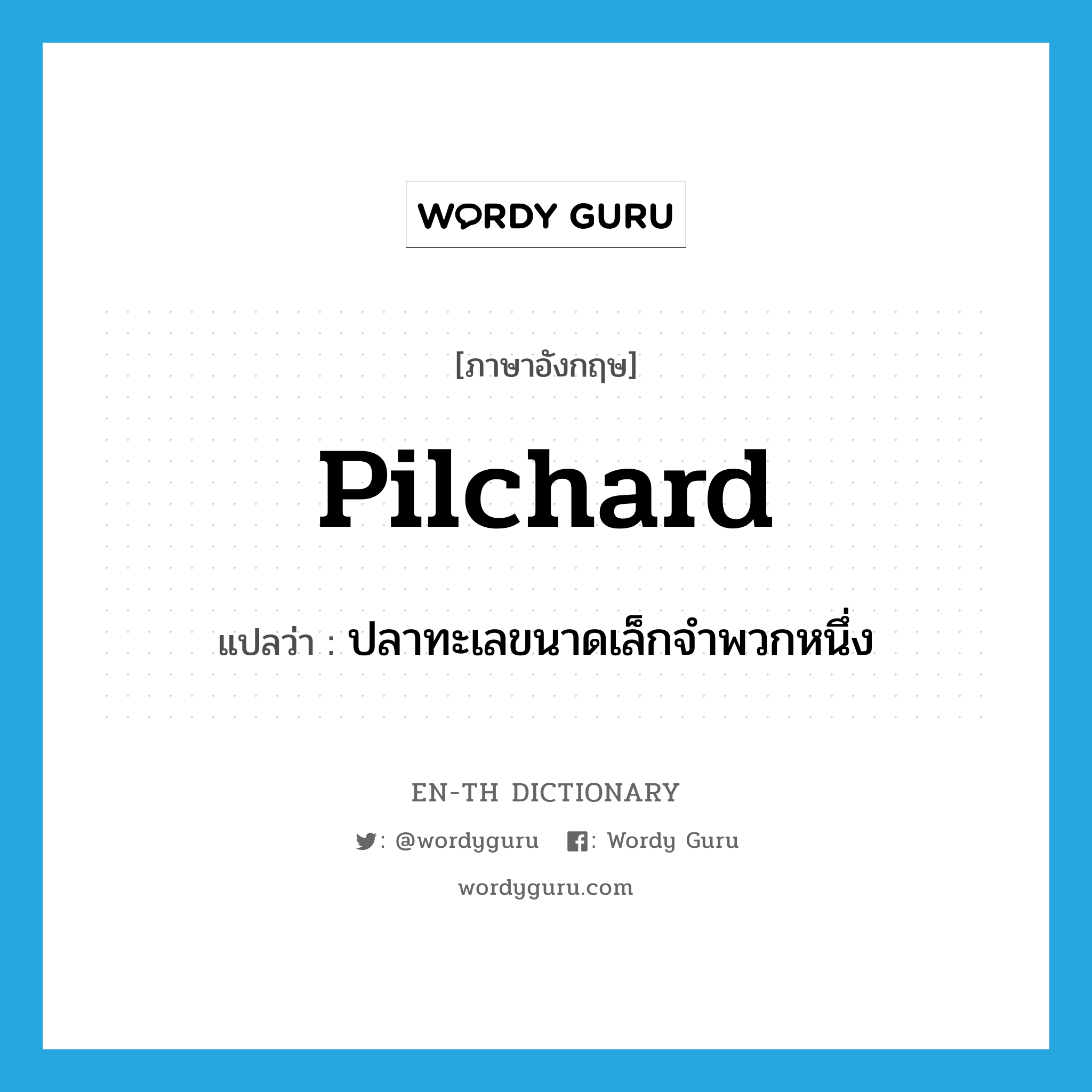 pilchard แปลว่า?, คำศัพท์ภาษาอังกฤษ pilchard แปลว่า ปลาทะเลขนาดเล็กจำพวกหนึ่ง ประเภท N หมวด N