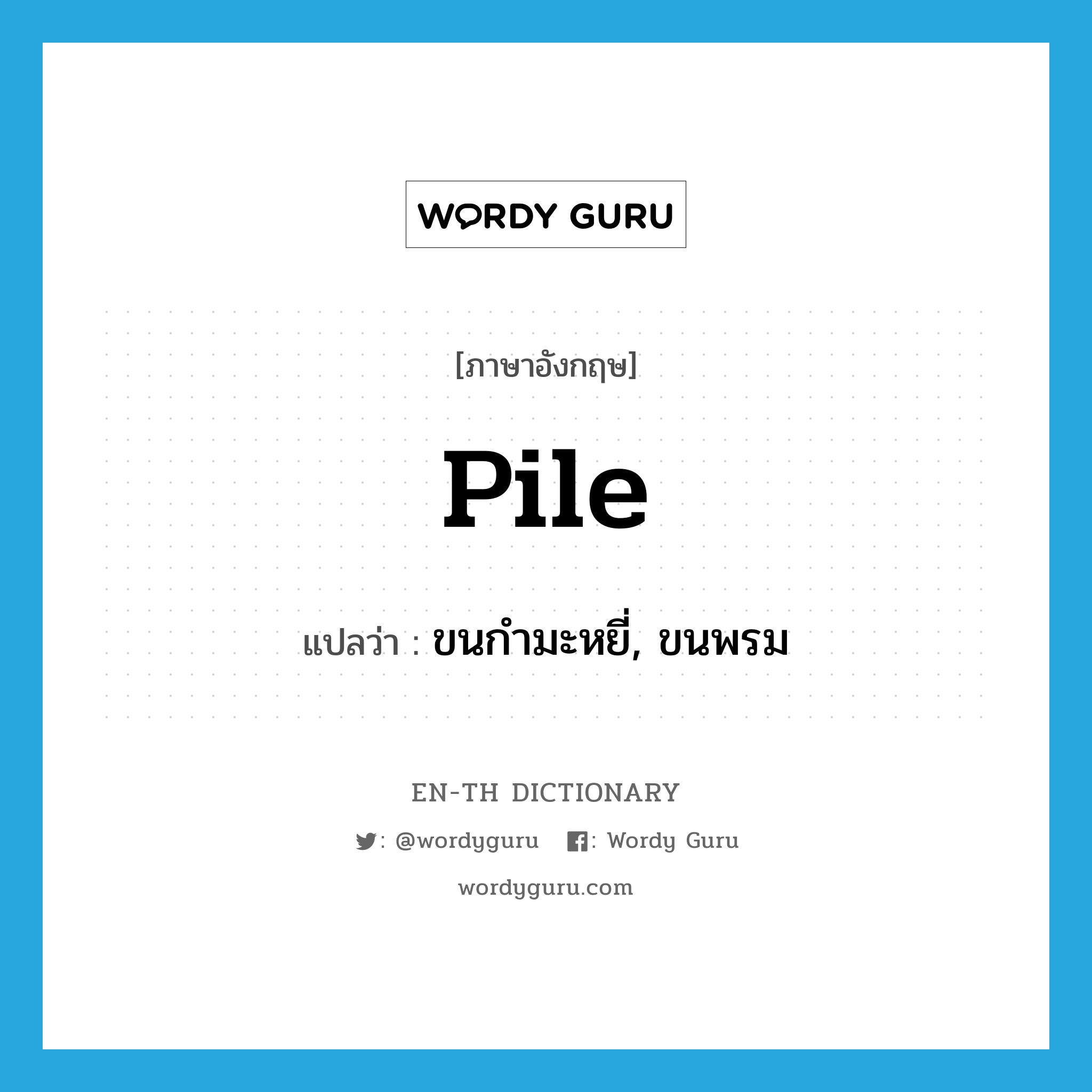 pile แปลว่า?, คำศัพท์ภาษาอังกฤษ pile แปลว่า ขนกำมะหยี่, ขนพรม ประเภท N หมวด N