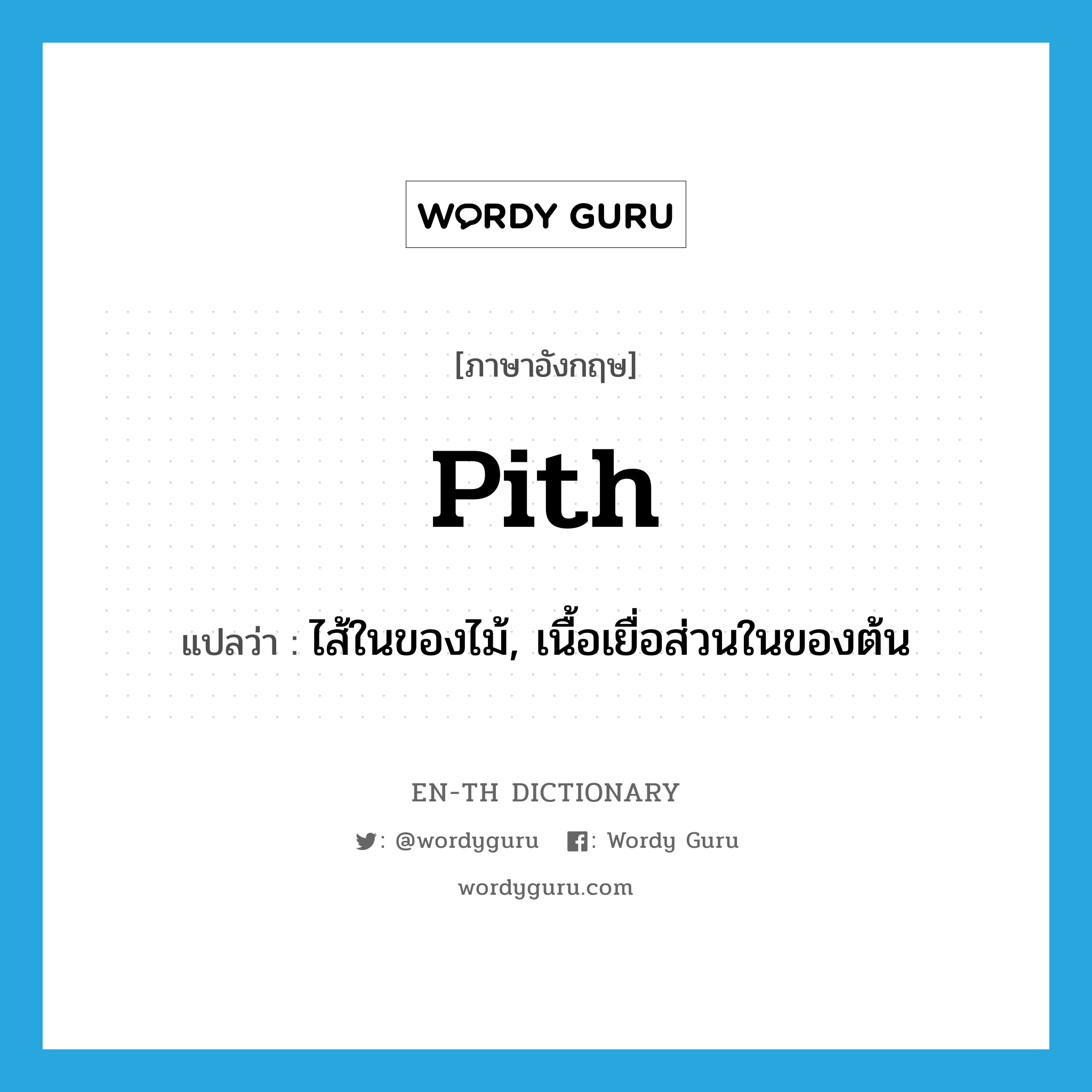 pith แปลว่า?, คำศัพท์ภาษาอังกฤษ pith แปลว่า ไส้ในของไม้, เนื้อเยื่อส่วนในของต้น ประเภท N หมวด N