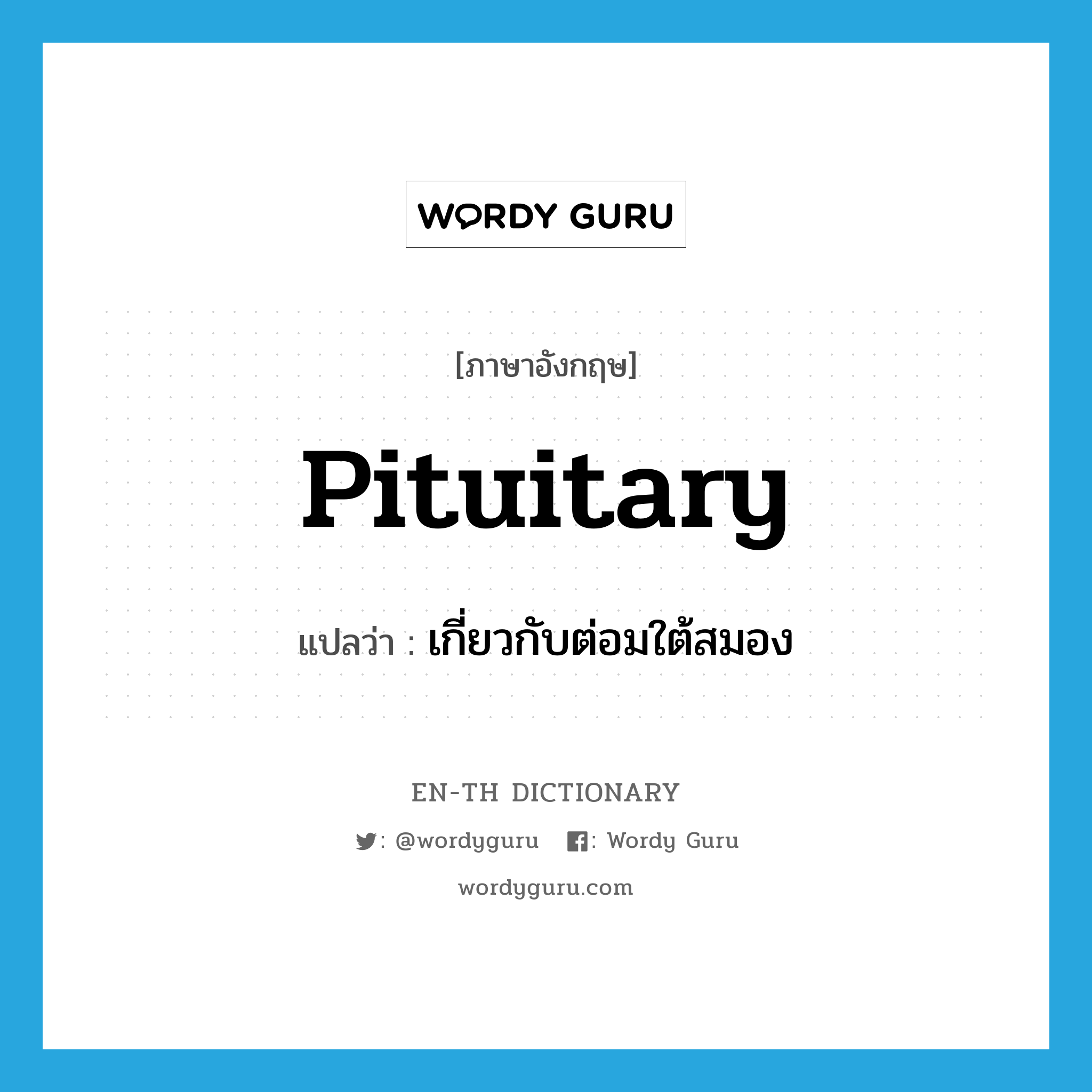 pituitary แปลว่า?, คำศัพท์ภาษาอังกฤษ pituitary แปลว่า เกี่ยวกับต่อมใต้สมอง ประเภท ADJ หมวด ADJ