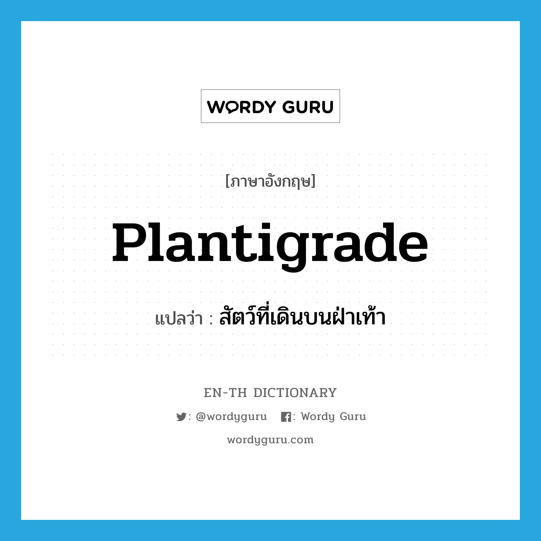 plantigrade แปลว่า?, คำศัพท์ภาษาอังกฤษ plantigrade แปลว่า สัตว์ที่เดินบนฝ่าเท้า ประเภท N หมวด N