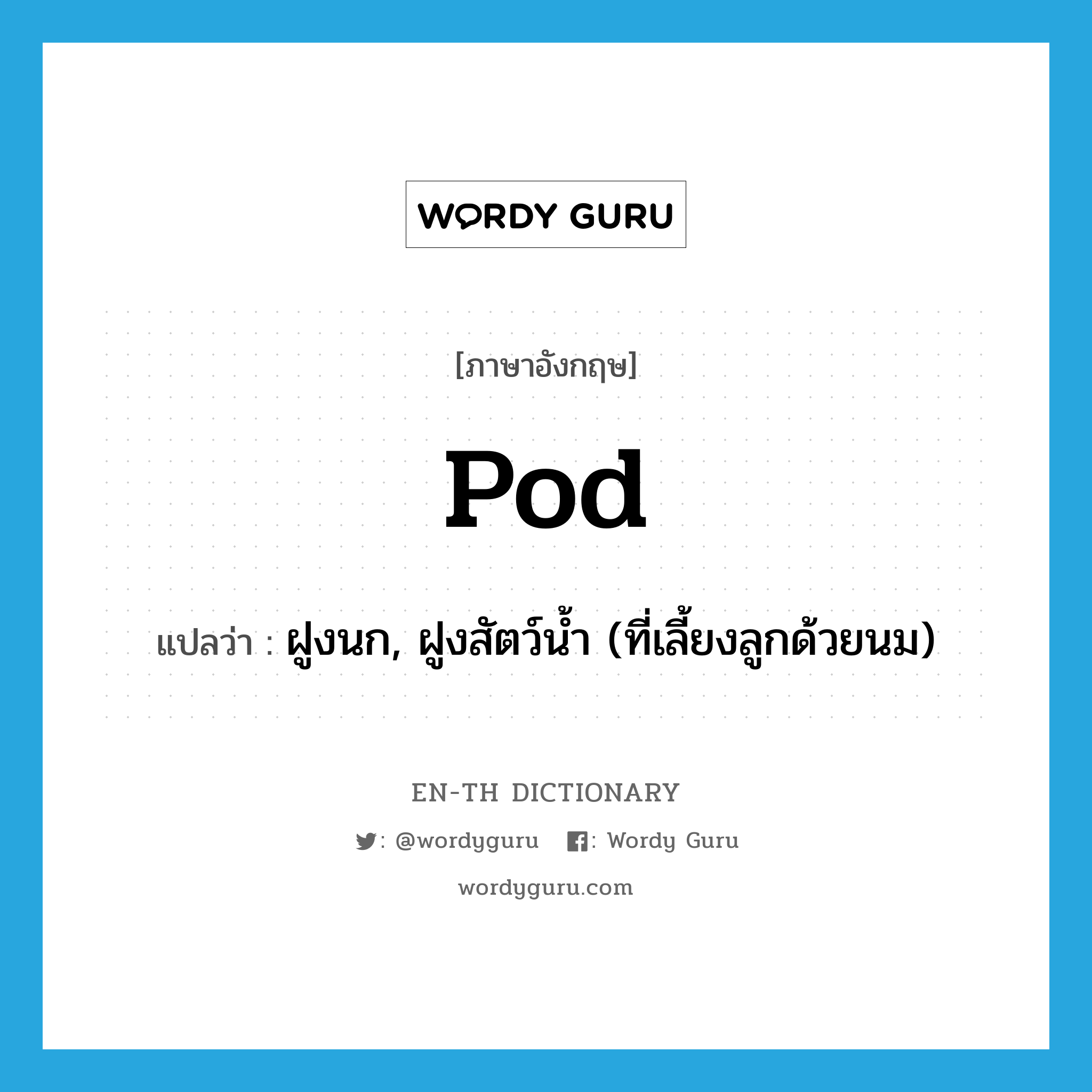 pod แปลว่า?, คำศัพท์ภาษาอังกฤษ pod แปลว่า ฝูงนก, ฝูงสัตว์น้ำ (ที่เลี้ยงลูกด้วยนม) ประเภท N หมวด N