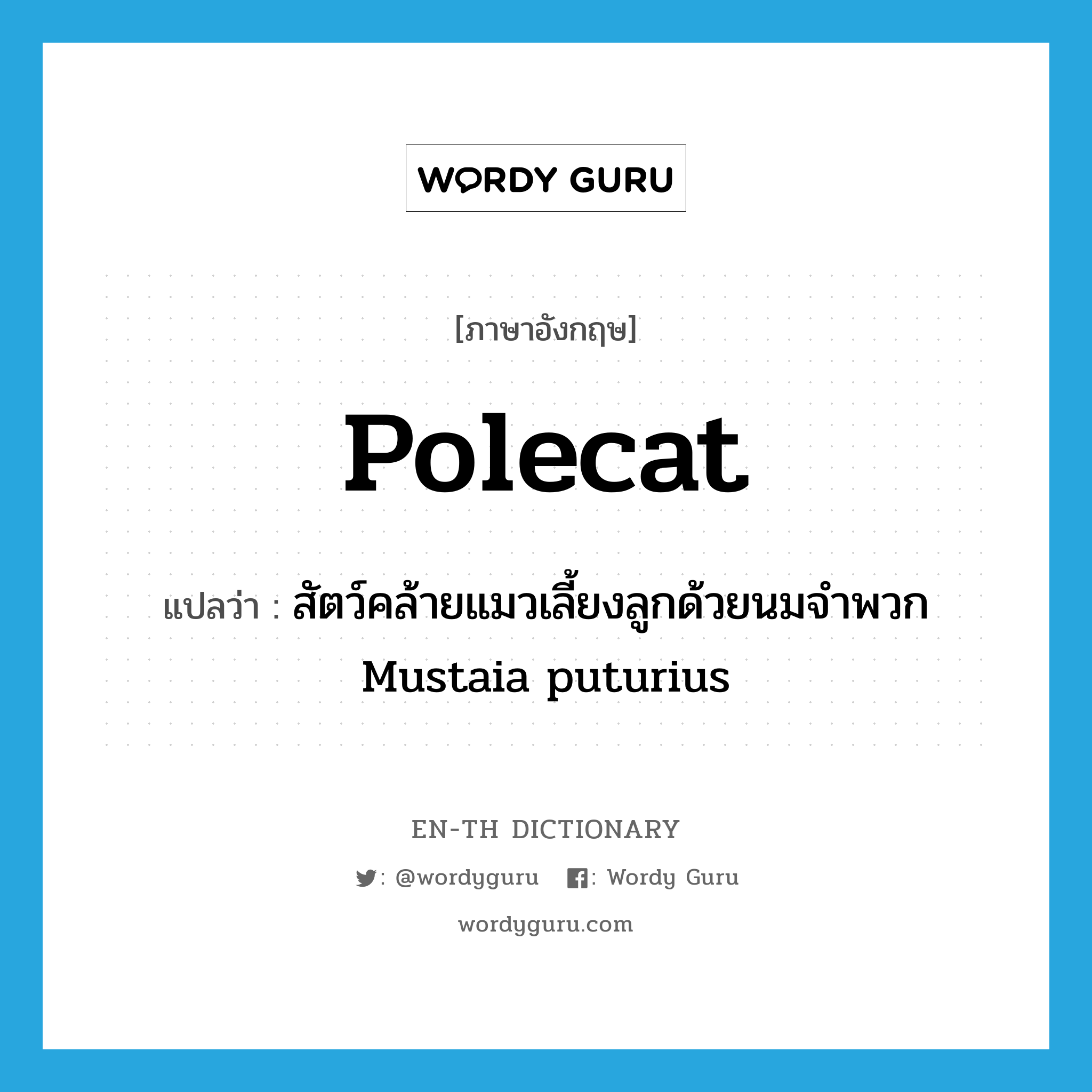 polecat แปลว่า?, คำศัพท์ภาษาอังกฤษ polecat แปลว่า สัตว์คล้ายแมวเลี้ยงลูกด้วยนมจำพวก Mustaia puturius ประเภท N หมวด N