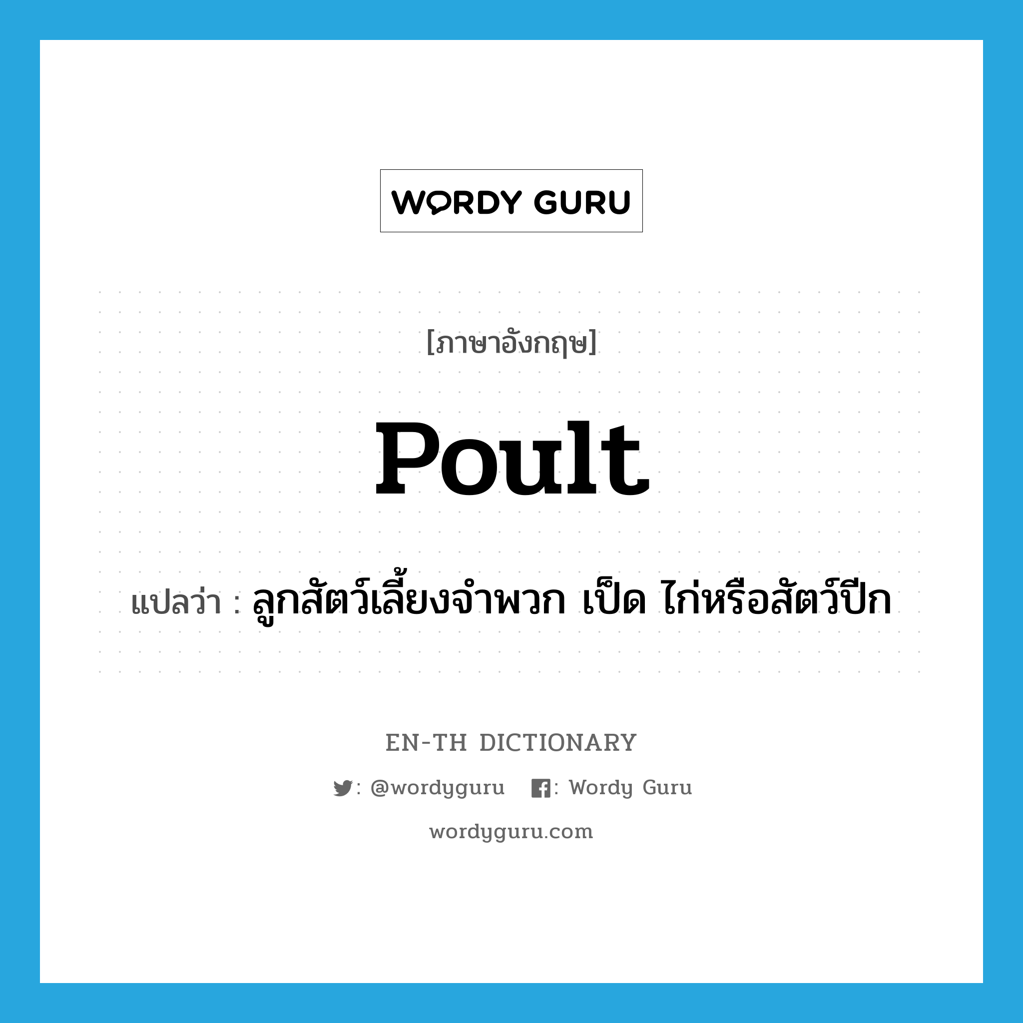 poult แปลว่า?, คำศัพท์ภาษาอังกฤษ poult แปลว่า ลูกสัตว์เลี้ยงจำพวก เป็ด ไก่หรือสัตว์ปีก ประเภท N หมวด N