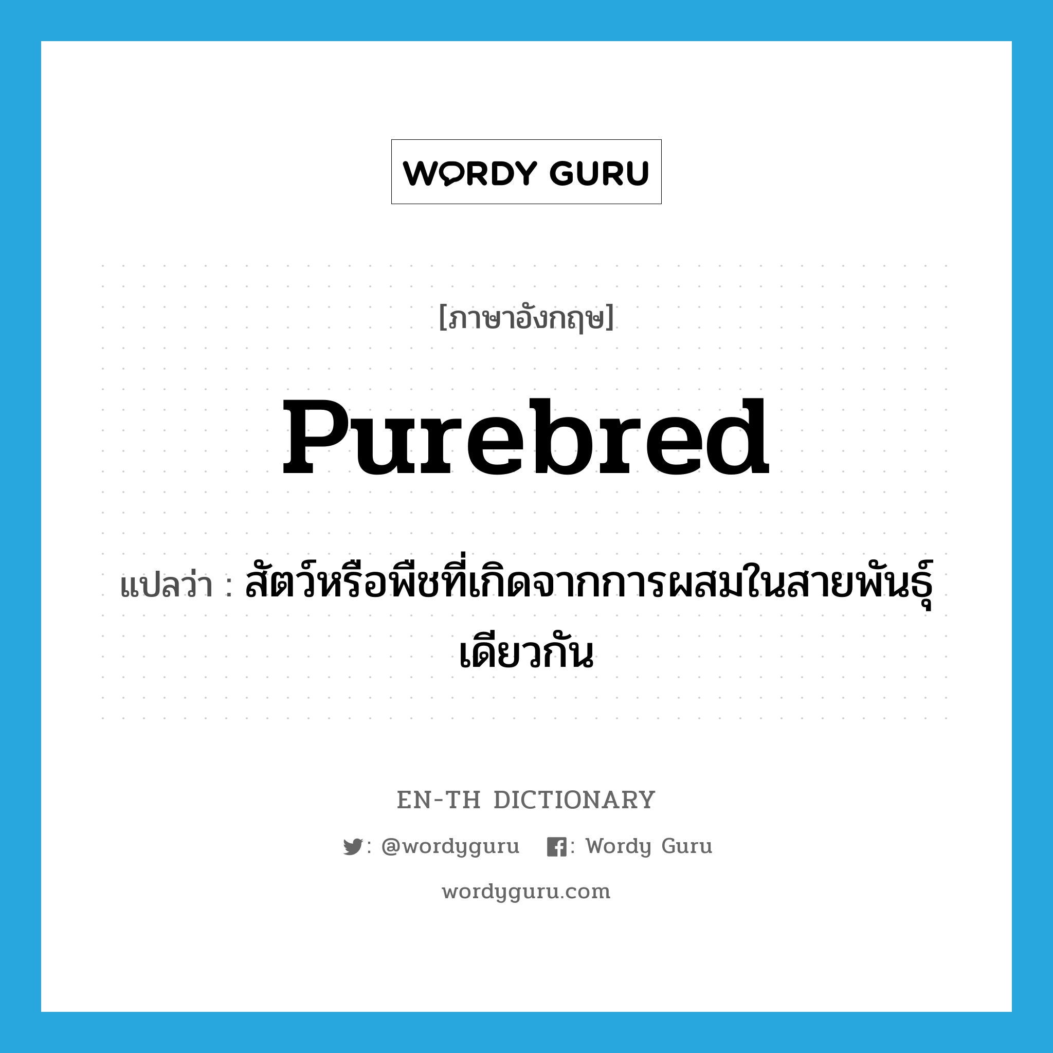 purebred แปลว่า?, คำศัพท์ภาษาอังกฤษ purebred แปลว่า สัตว์หรือพืชที่เกิดจากการผสมในสายพันธุ์เดียวกัน ประเภท N หมวด N