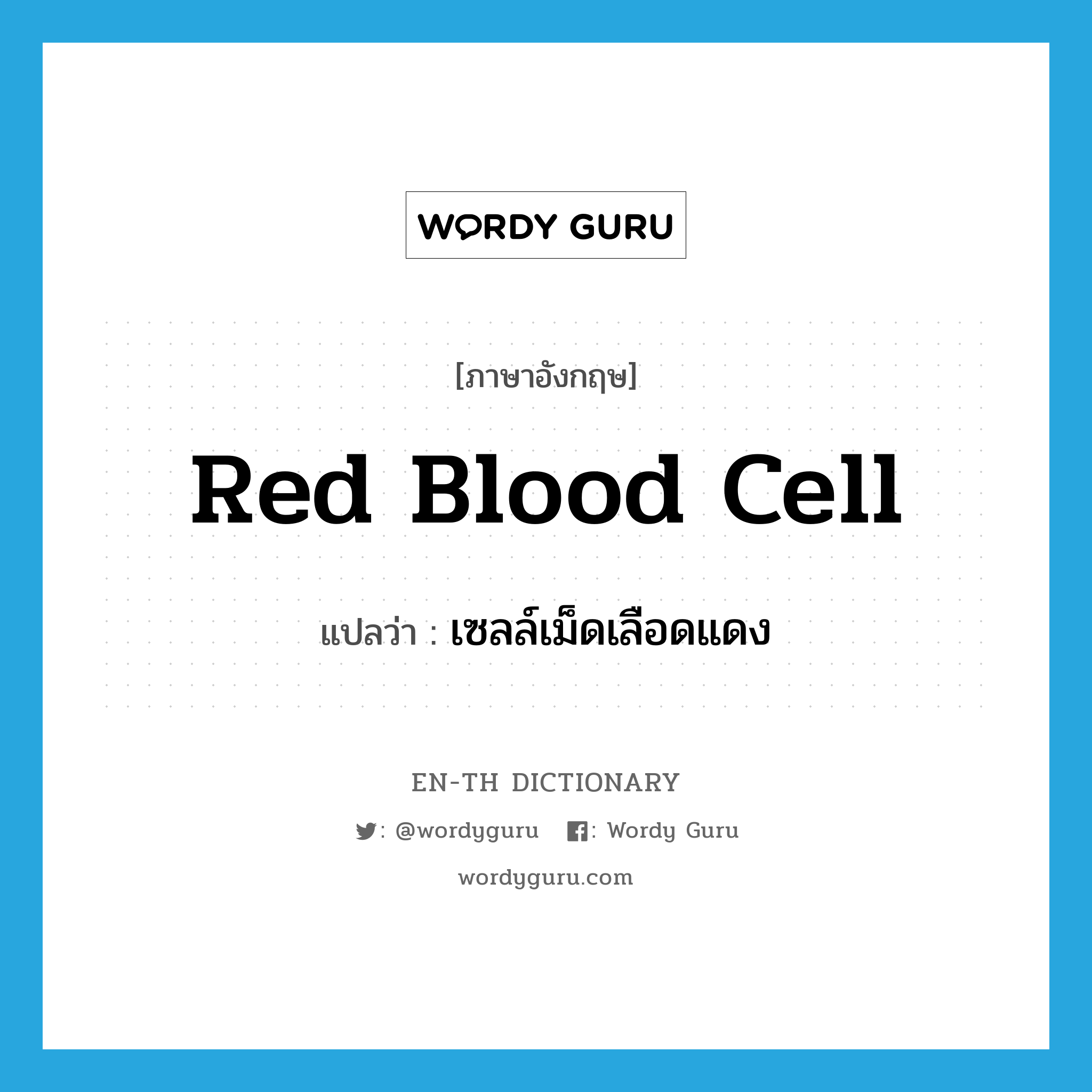 red blood cell แปลว่า?, คำศัพท์ภาษาอังกฤษ red blood cell แปลว่า เซลล์เม็ดเลือดแดง ประเภท N หมวด N