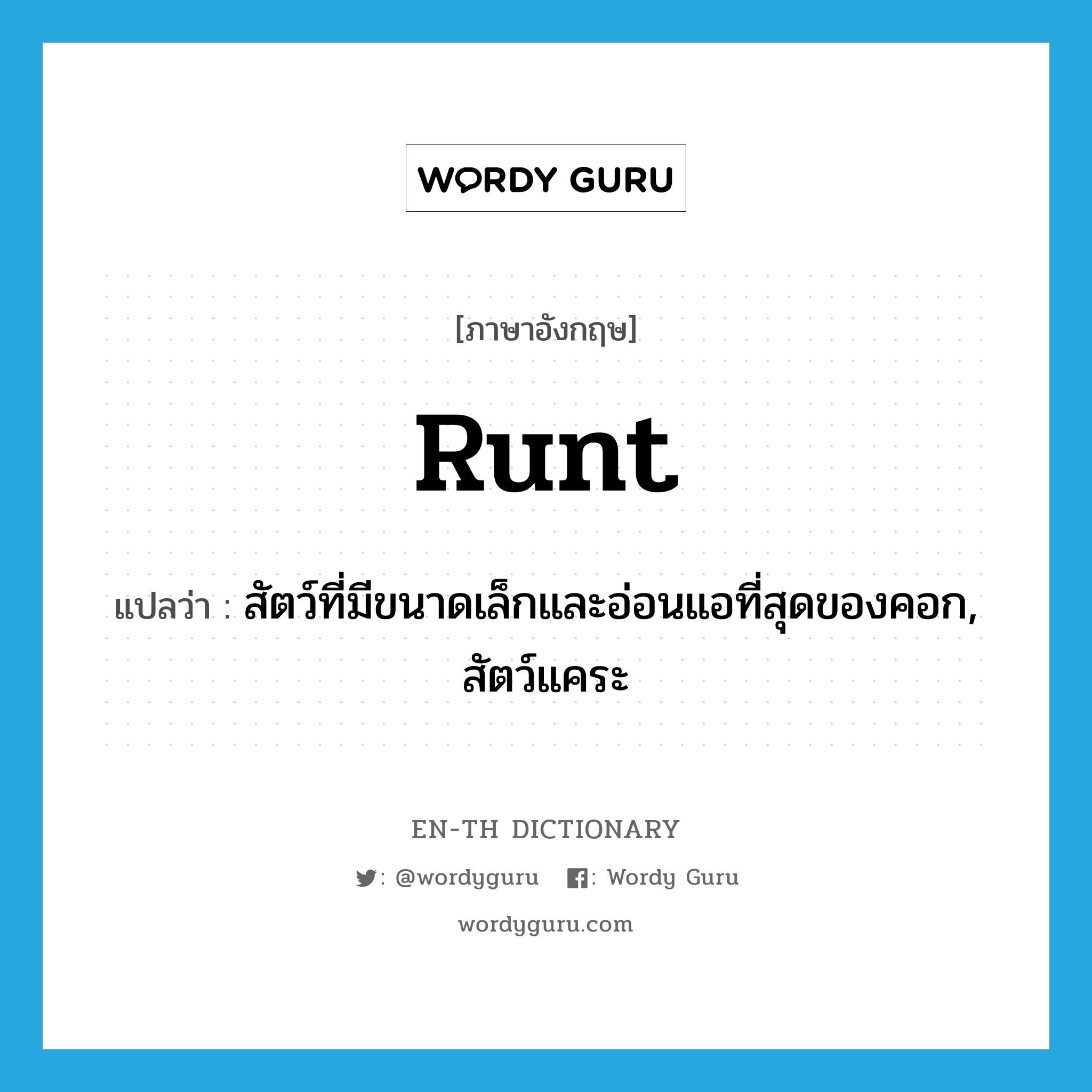 runt แปลว่า?, คำศัพท์ภาษาอังกฤษ runt แปลว่า สัตว์ที่มีขนาดเล็กและอ่อนแอที่สุดของคอก, สัตว์แคระ ประเภท N หมวด N