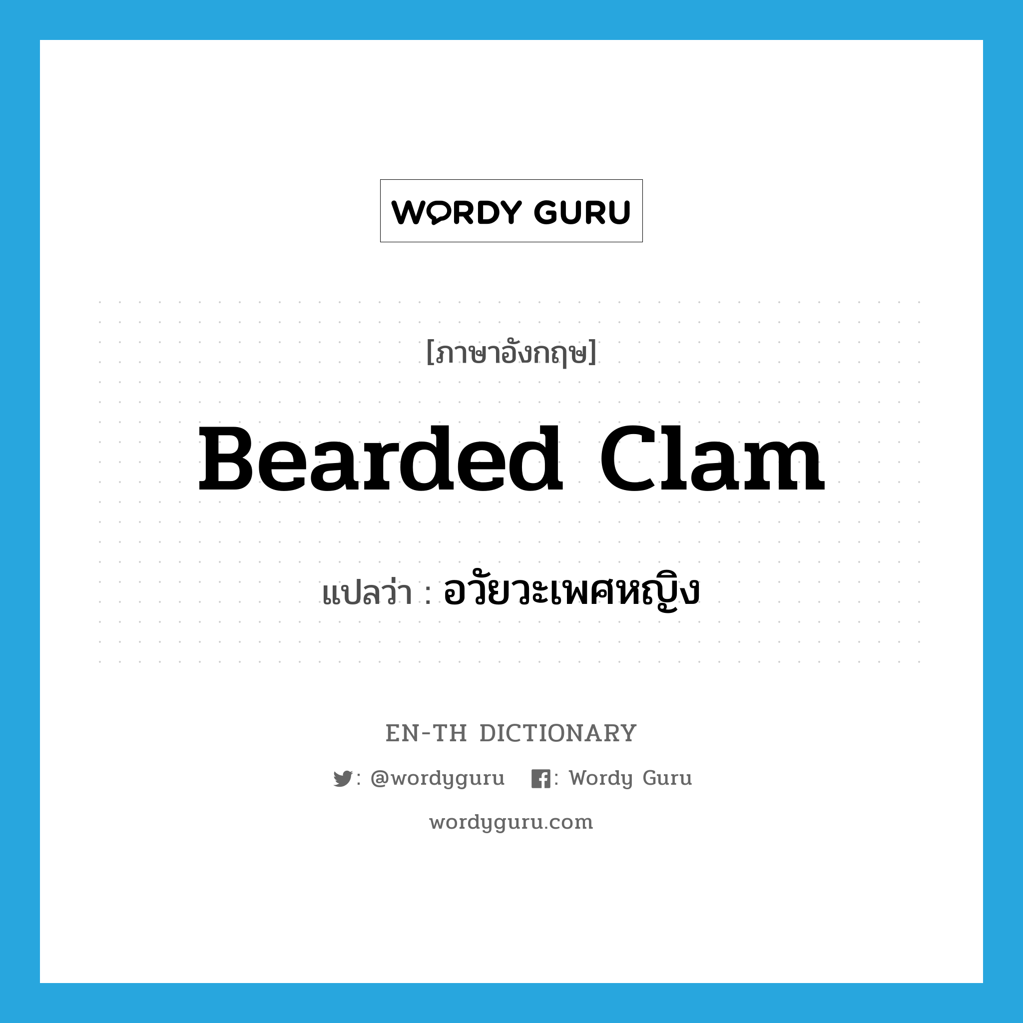 bearded clam แปลว่า?, คำศัพท์ภาษาอังกฤษ bearded clam แปลว่า อวัยวะเพศหญิง ประเภท SL หมวด SL