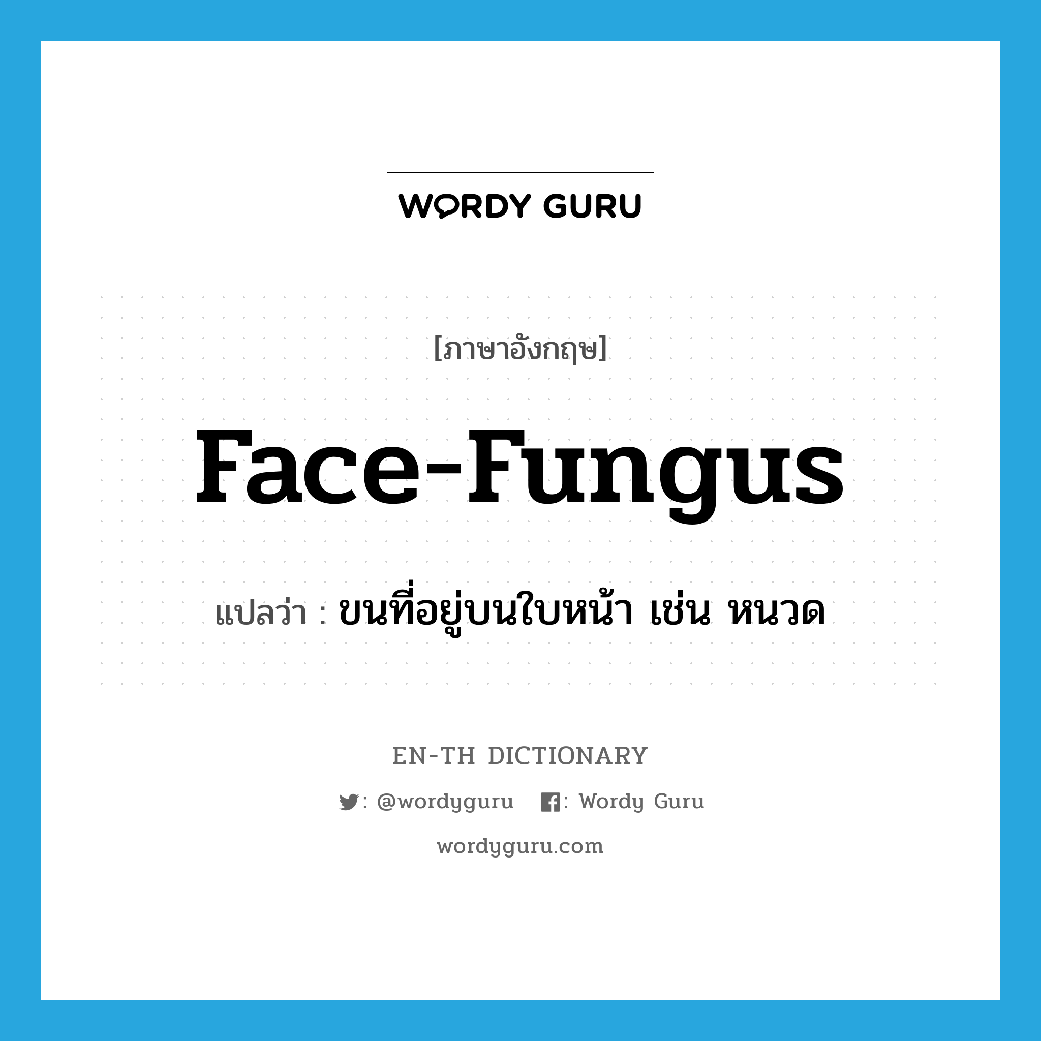 (face) fungus แปลว่า?, คำศัพท์ภาษาอังกฤษ face-fungus แปลว่า ขนที่อยู่บนใบหน้า เช่น หนวด ประเภท SL หมวด SL