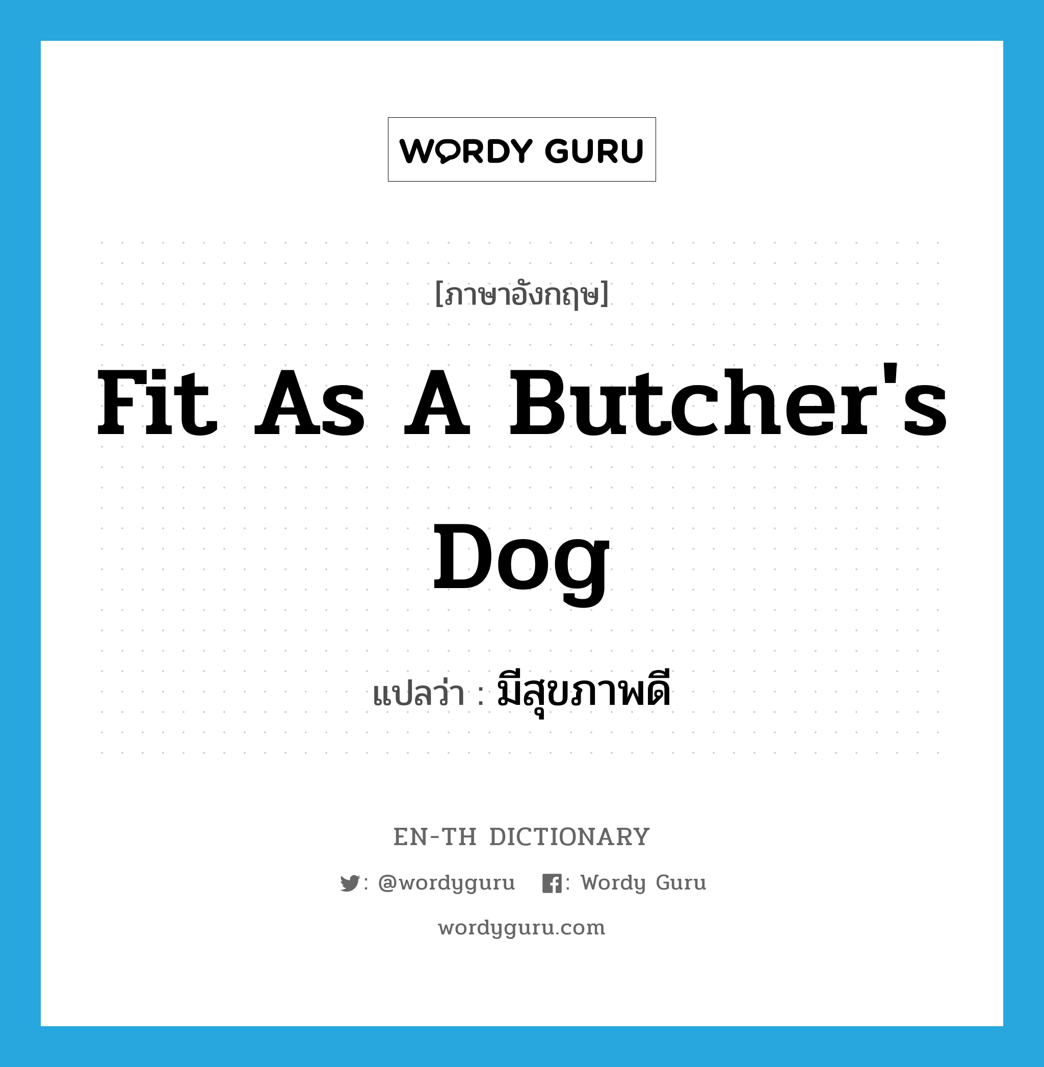 fit as a butcher&#39;s dog แปลว่า?, คำศัพท์ภาษาอังกฤษ fit as a butcher&#39;s dog แปลว่า มีสุขภาพดี ประเภท SL หมวด SL