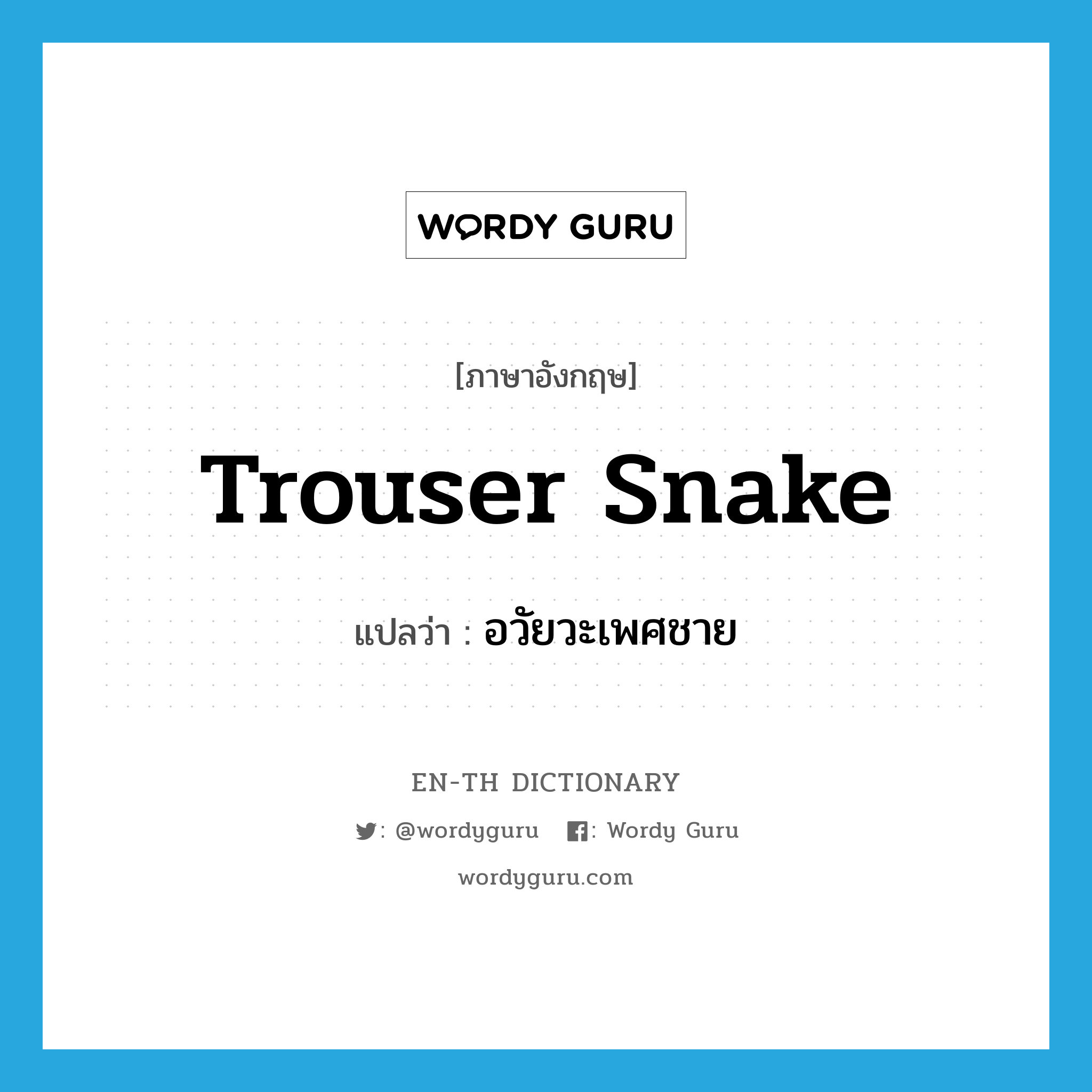 trouser snake แปลว่า?, คำศัพท์ภาษาอังกฤษ trouser snake แปลว่า อวัยวะเพศชาย ประเภท SL หมวด SL