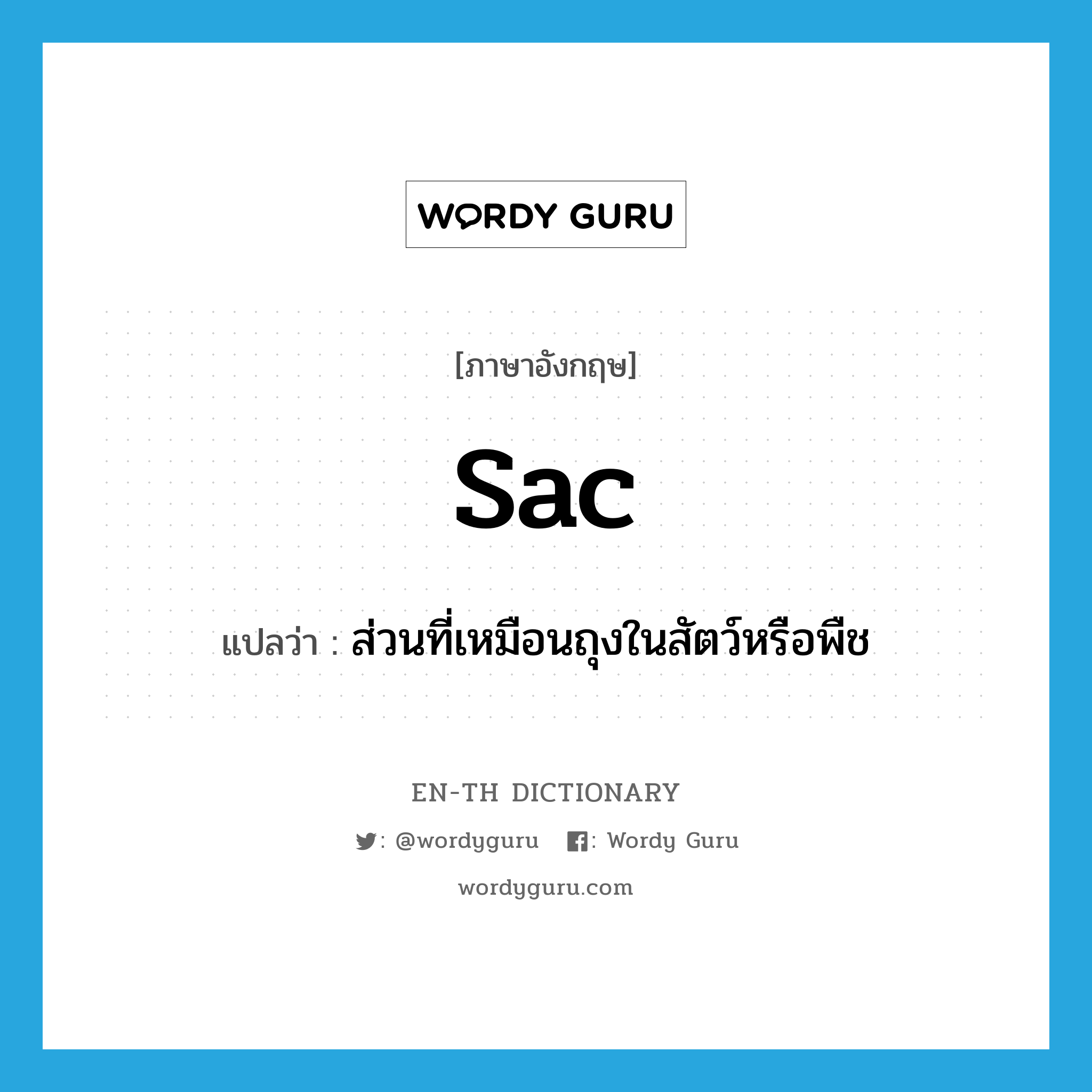 sac แปลว่า?, คำศัพท์ภาษาอังกฤษ sac แปลว่า ส่วนที่เหมือนถุงในสัตว์หรือพืช ประเภท N หมวด N