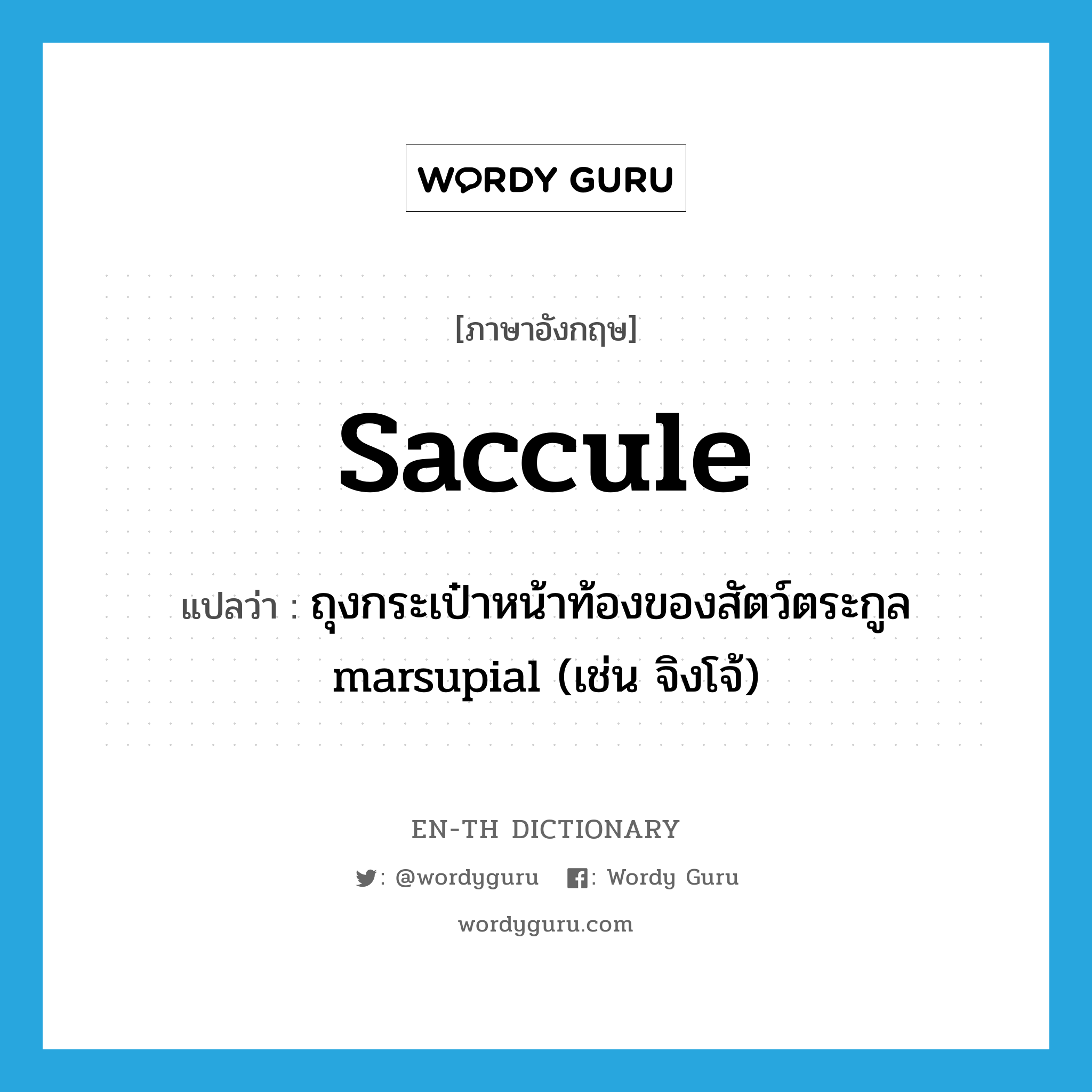 saccule แปลว่า?, คำศัพท์ภาษาอังกฤษ saccule แปลว่า ถุงกระเป๋าหน้าท้องของสัตว์ตระกูล marsupial (เช่น จิงโจ้) ประเภท N หมวด N