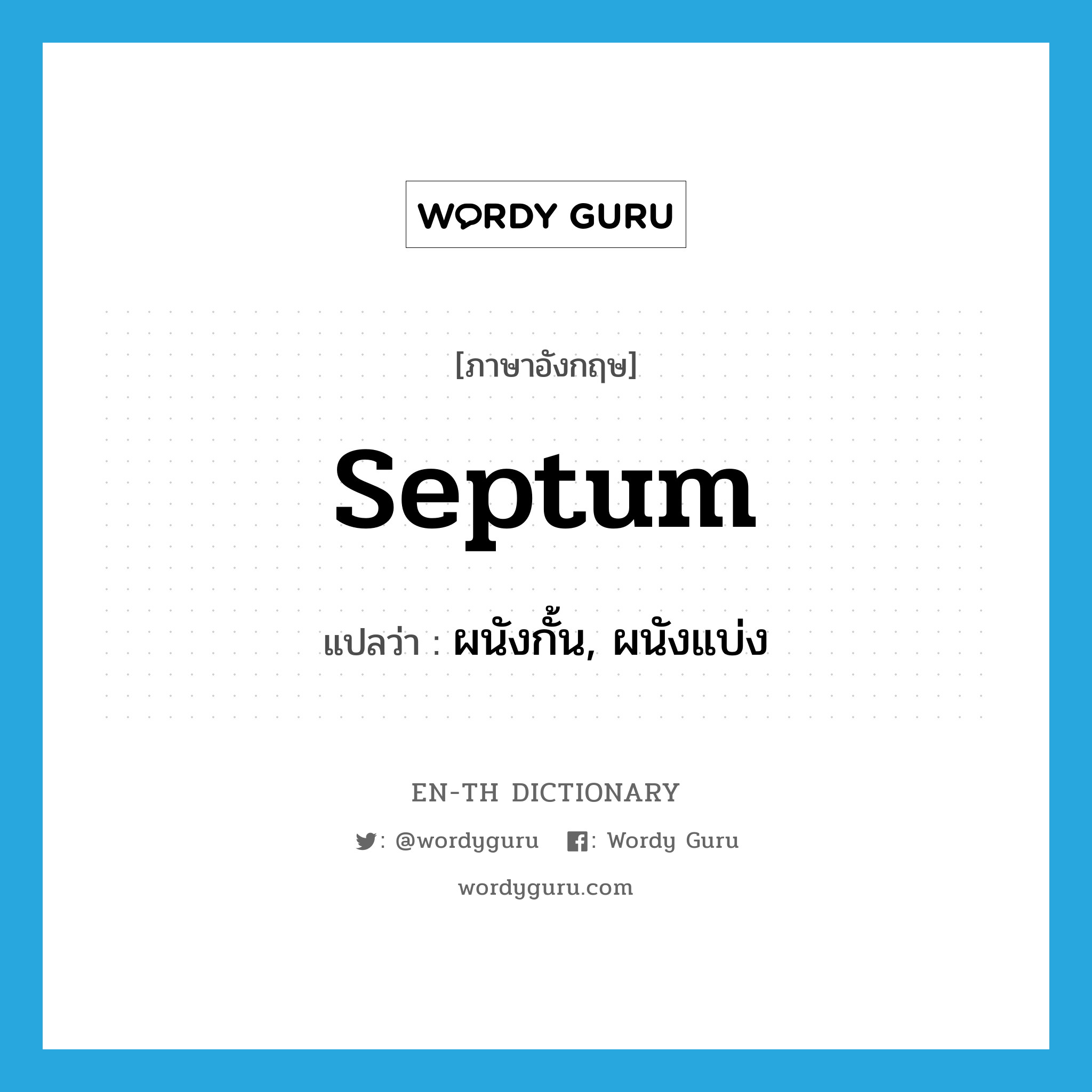 septum แปลว่า?, คำศัพท์ภาษาอังกฤษ septum แปลว่า ผนังกั้น, ผนังแบ่ง ประเภท N หมวด N