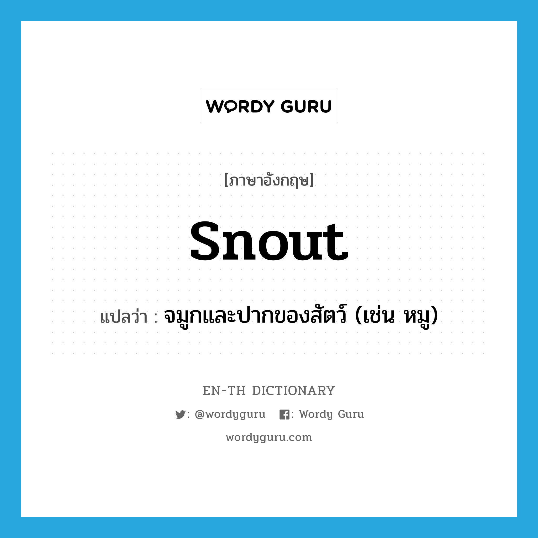 snout แปลว่า?, คำศัพท์ภาษาอังกฤษ snout แปลว่า จมูกและปากของสัตว์ (เช่น หมู) ประเภท N หมวด N