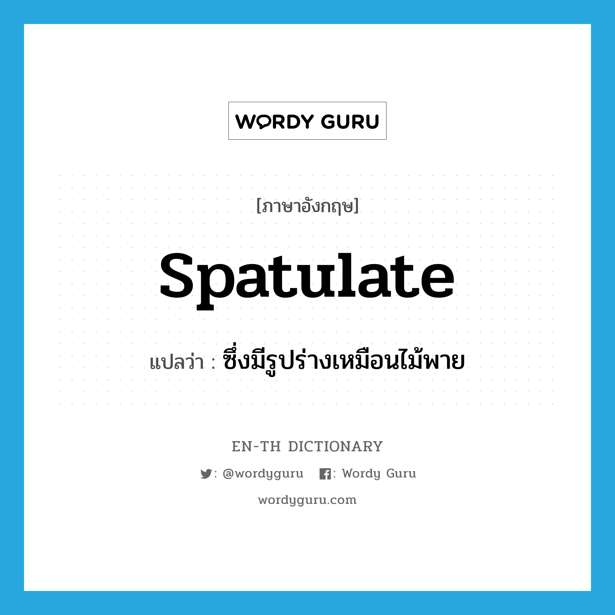 spatulate แปลว่า?, คำศัพท์ภาษาอังกฤษ spatulate แปลว่า ซึ่งมีรูปร่างเหมือนไม้พาย ประเภท ADJ หมวด ADJ