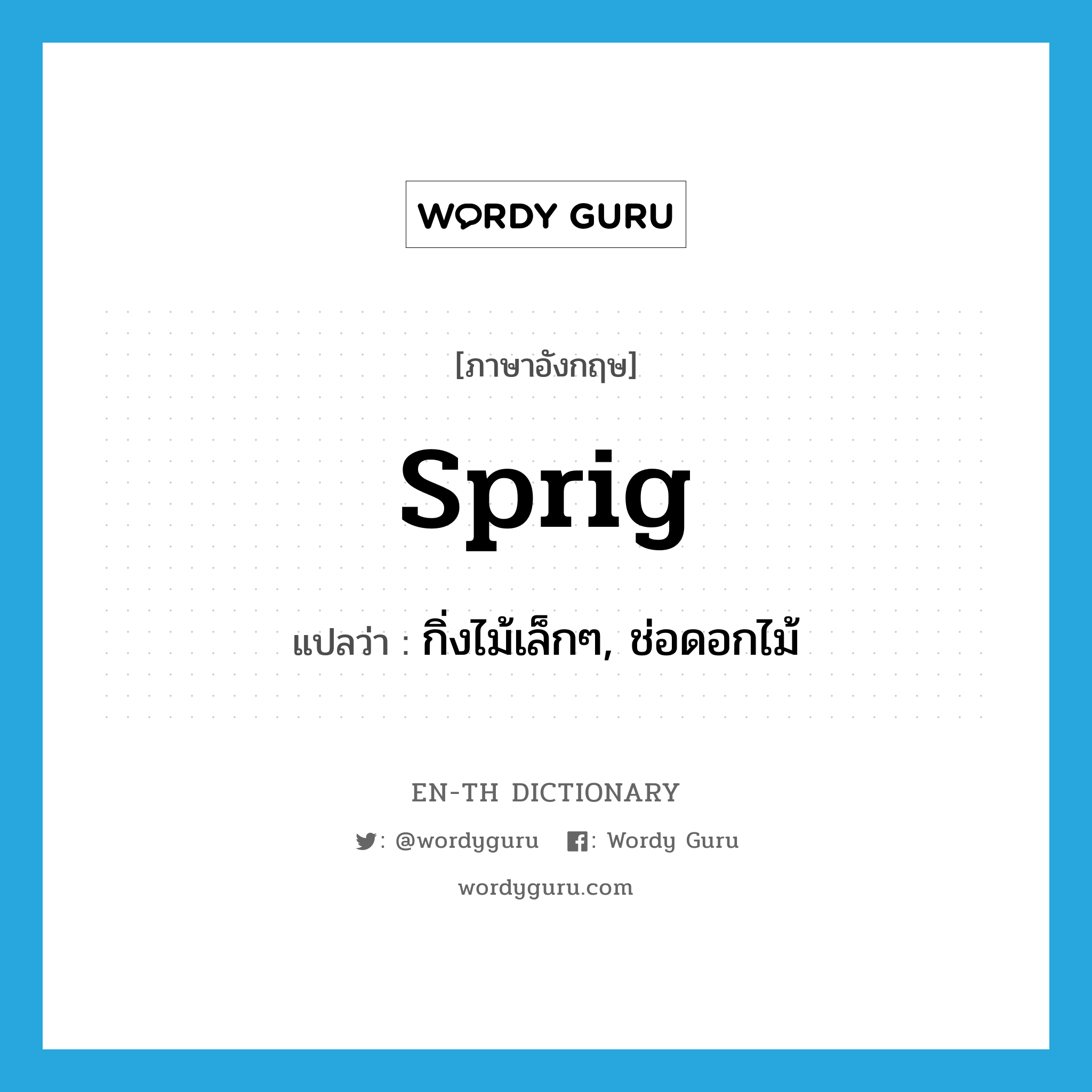 sprig แปลว่า?, คำศัพท์ภาษาอังกฤษ sprig แปลว่า กิ่งไม้เล็กๆ, ช่อดอกไม้ ประเภท N หมวด N