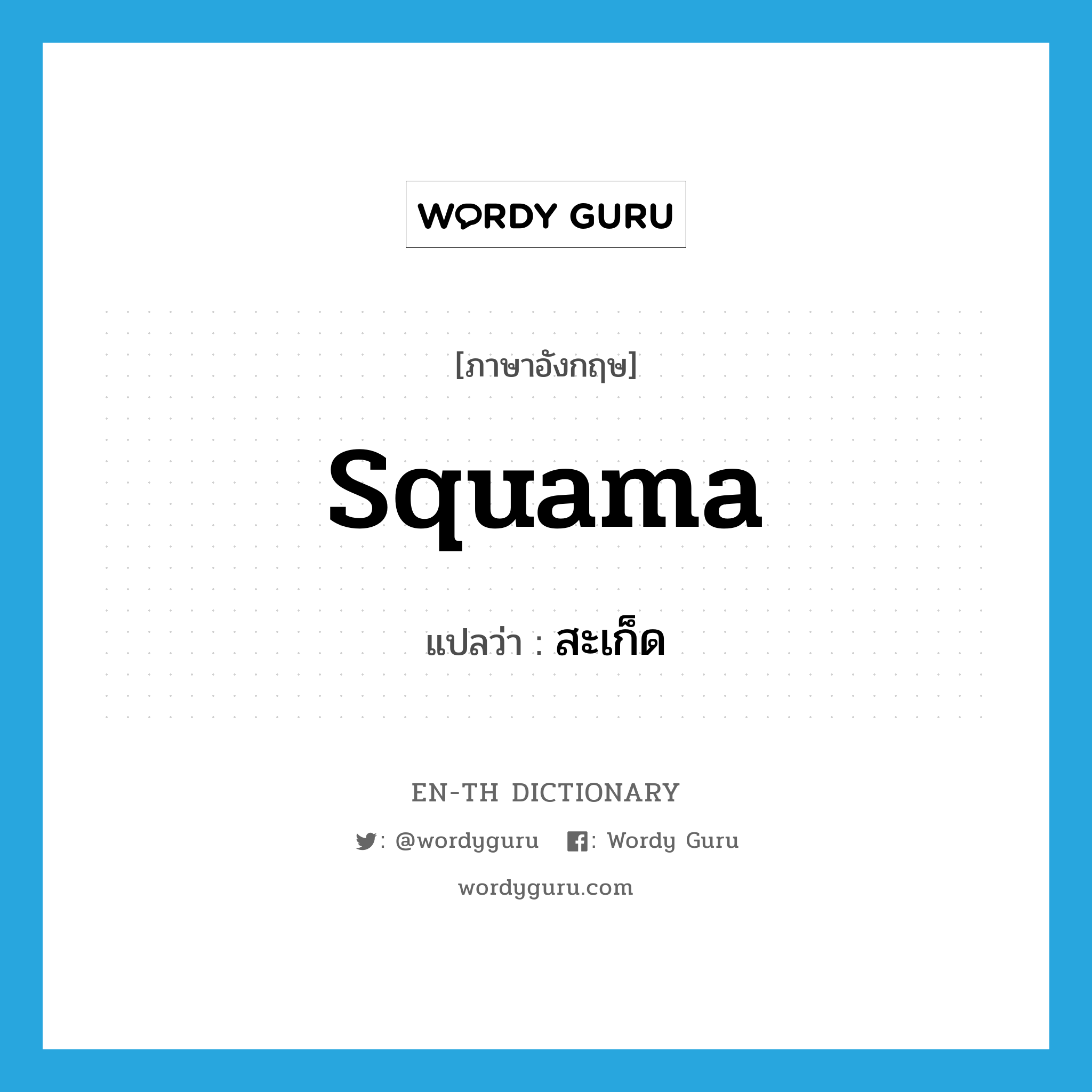 squama แปลว่า?, คำศัพท์ภาษาอังกฤษ squama แปลว่า สะเก็ด ประเภท N หมวด N