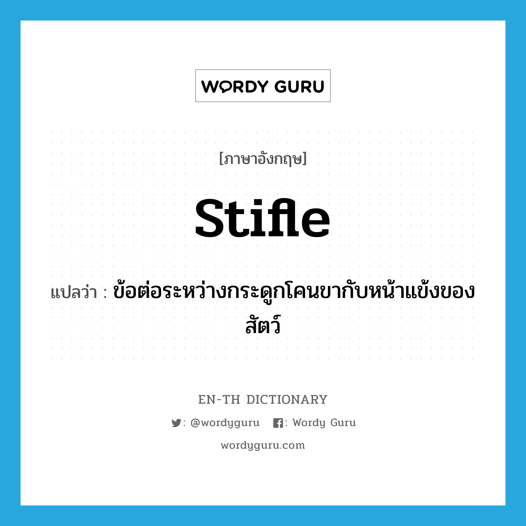 stifle แปลว่า?, คำศัพท์ภาษาอังกฤษ stifle แปลว่า ข้อต่อระหว่างกระดูกโคนขากับหน้าแข้งของสัตว์ ประเภท N หมวด N