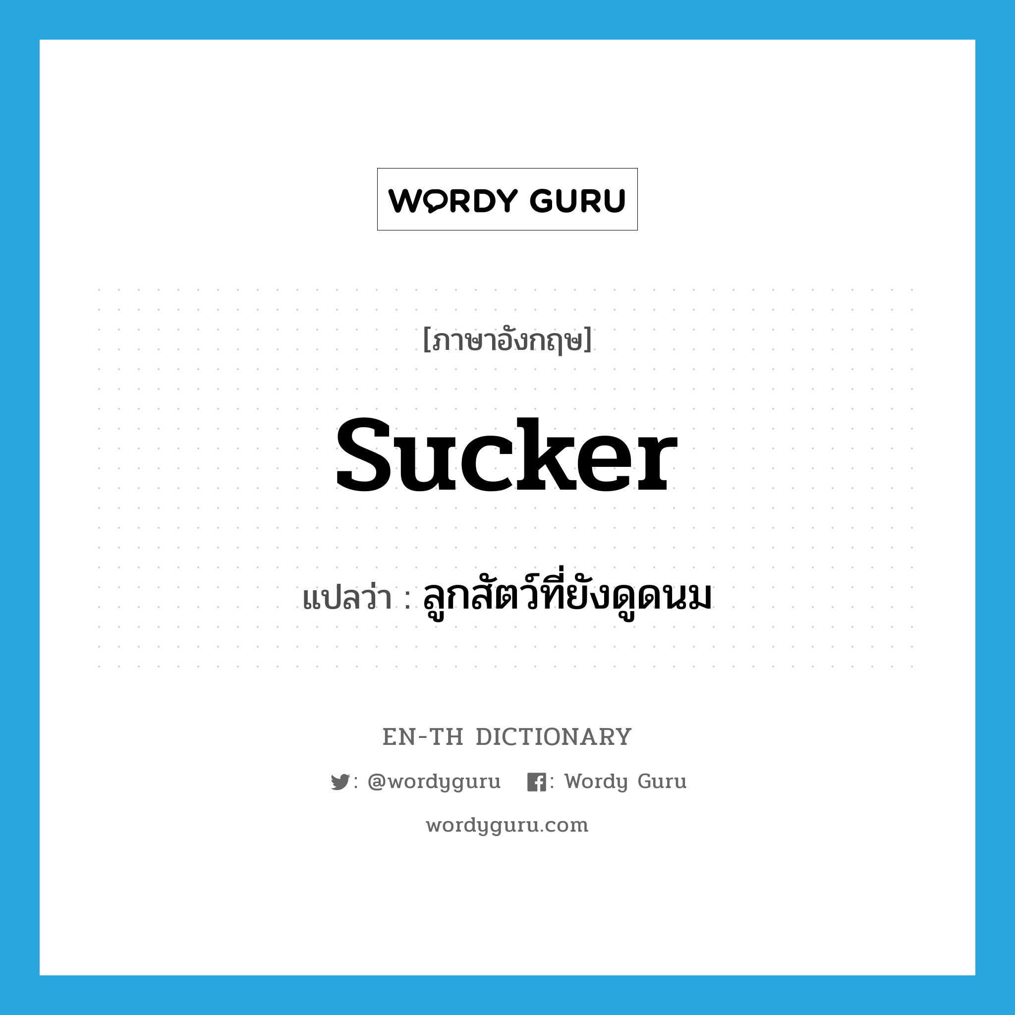 sucker แปลว่า?, คำศัพท์ภาษาอังกฤษ sucker แปลว่า ลูกสัตว์ที่ยังดูดนม ประเภท N หมวด N