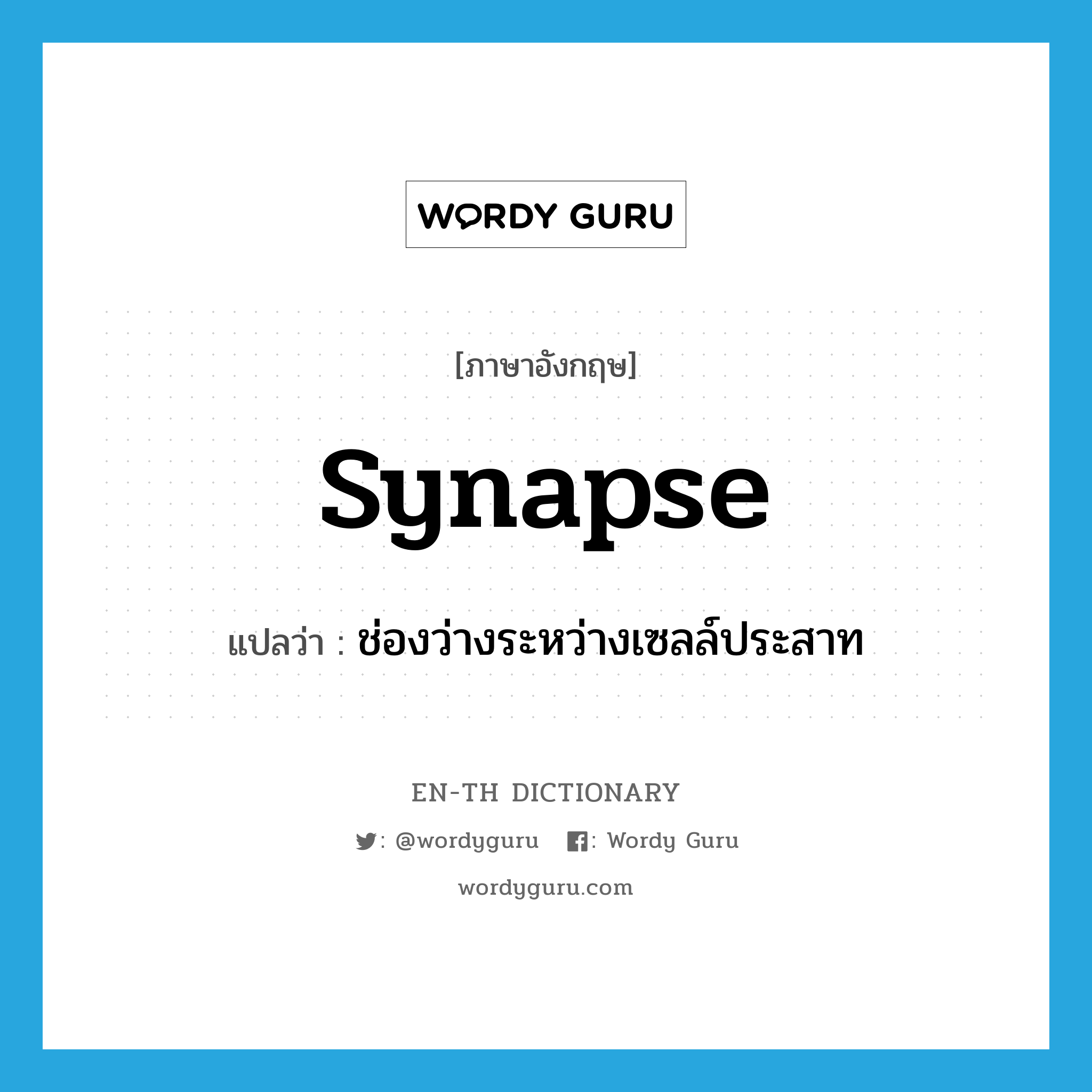 synapse แปลว่า?, คำศัพท์ภาษาอังกฤษ synapse แปลว่า ช่องว่างระหว่างเซลล์ประสาท ประเภท N หมวด N