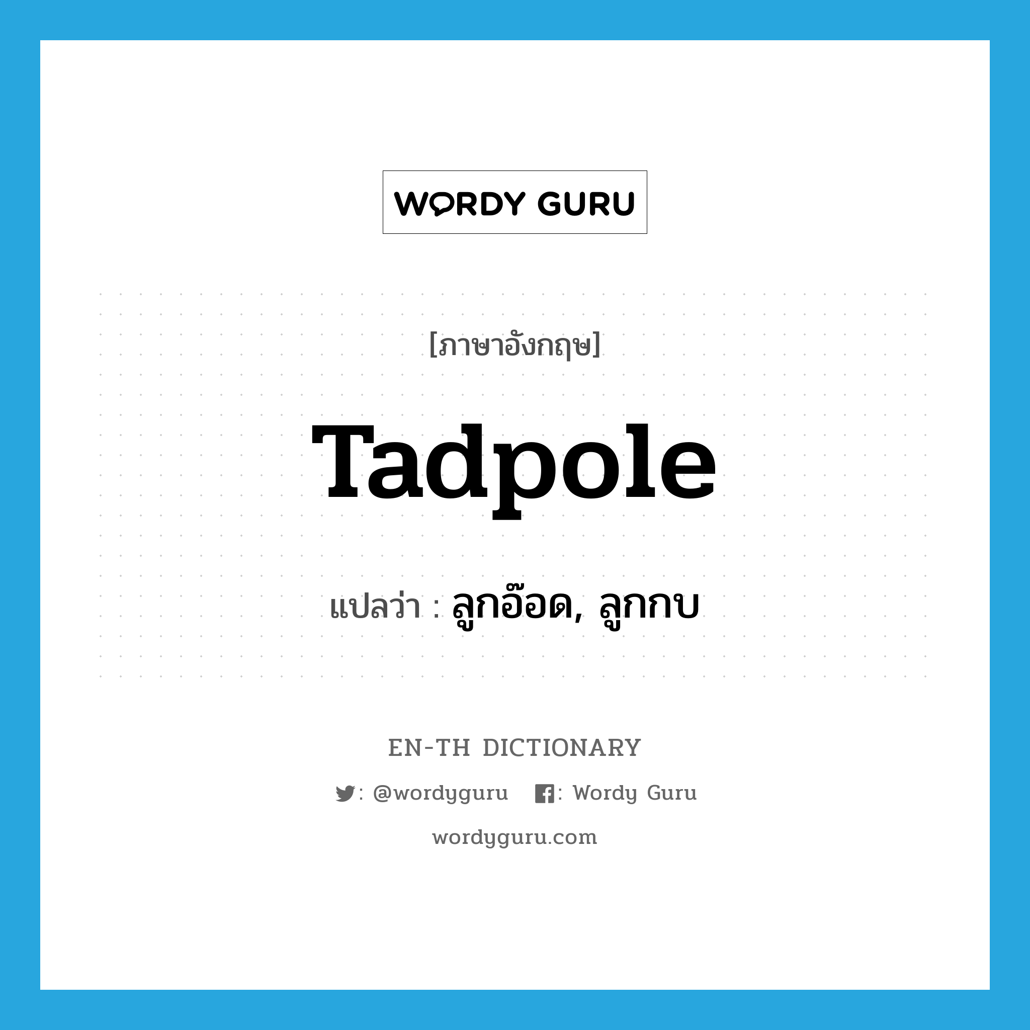 tadpole แปลว่า?, คำศัพท์ภาษาอังกฤษ tadpole แปลว่า ลูกอ๊อด, ลูกกบ ประเภท N หมวด N