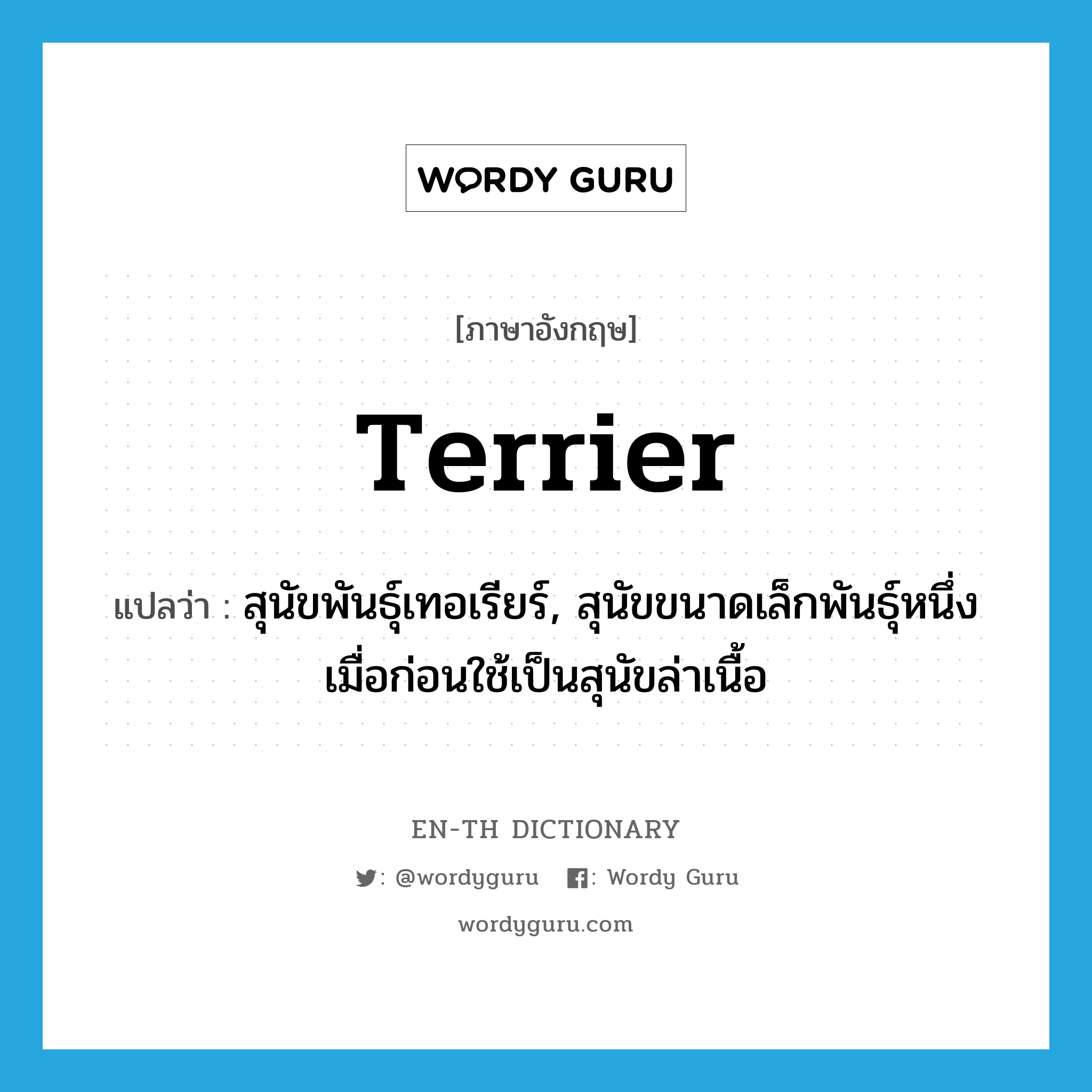 terrier แปลว่า?, คำศัพท์ภาษาอังกฤษ terrier แปลว่า สุนัขพันธุ์เทอเรียร์, สุนัขขนาดเล็กพันธุ์หนึ่ง เมื่อก่อนใช้เป็นสุนัขล่าเนื้อ ประเภท N หมวด N